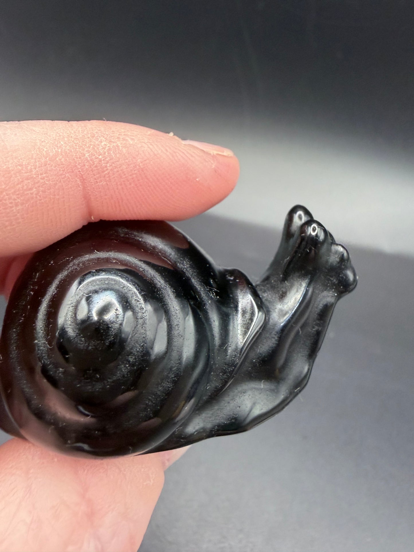 Black Obsidian Snail – Crystal Carving (5cm)