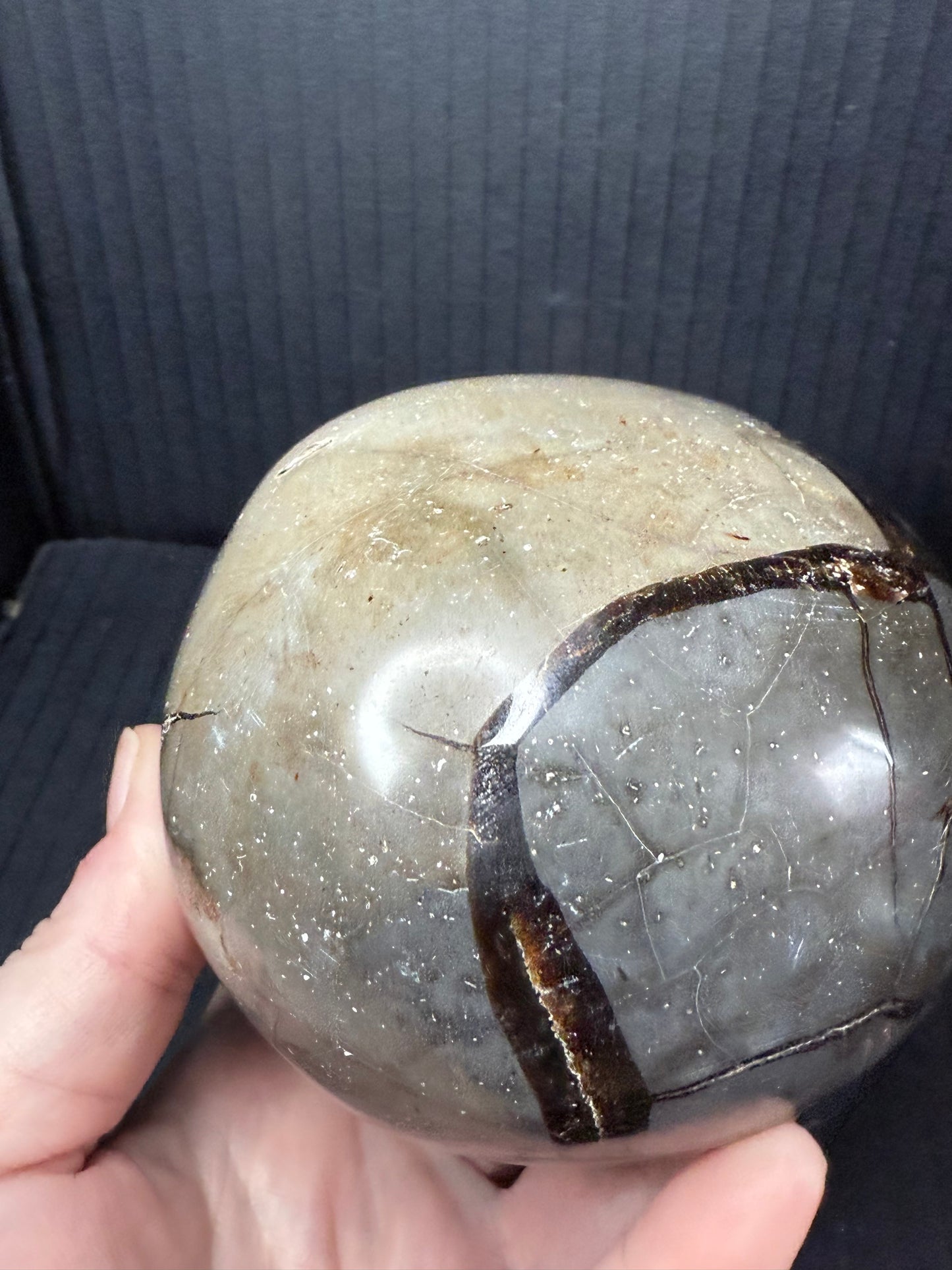 Septarian/dino Egg