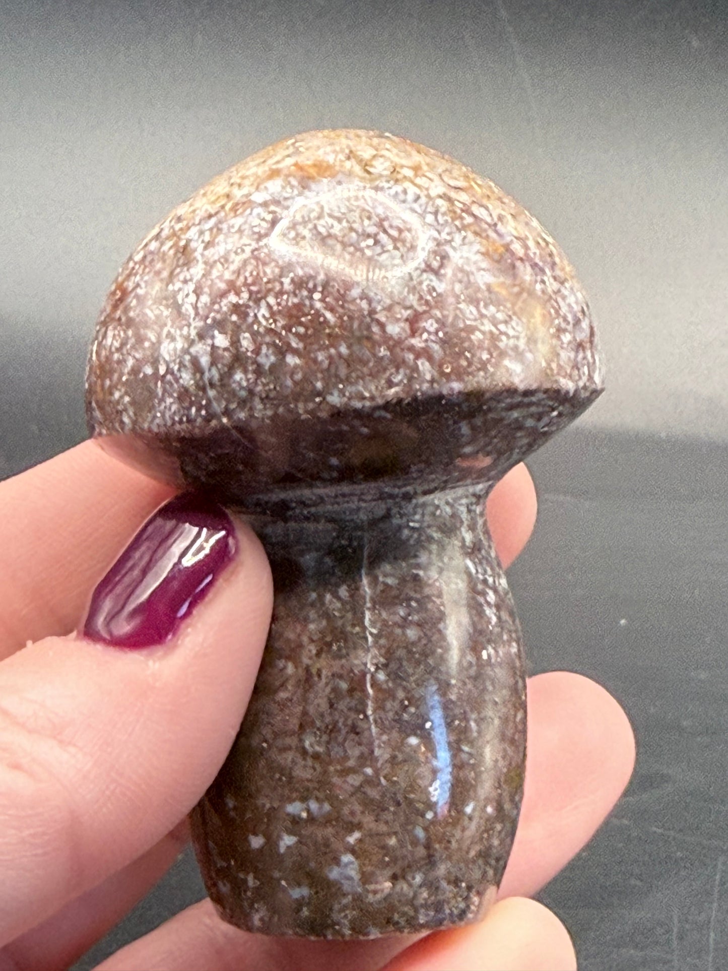 Ocean Jasper Mushroom Carving