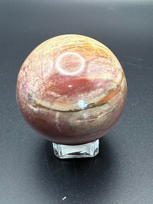 Petrified Wood Sphere