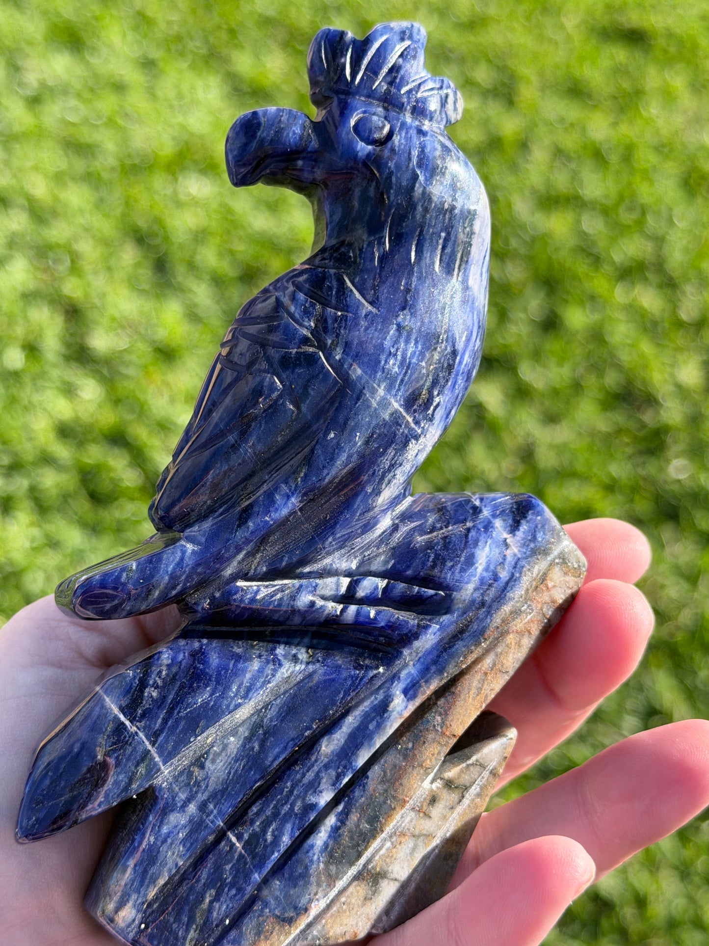 Sodalite Parrot Carving – 400g