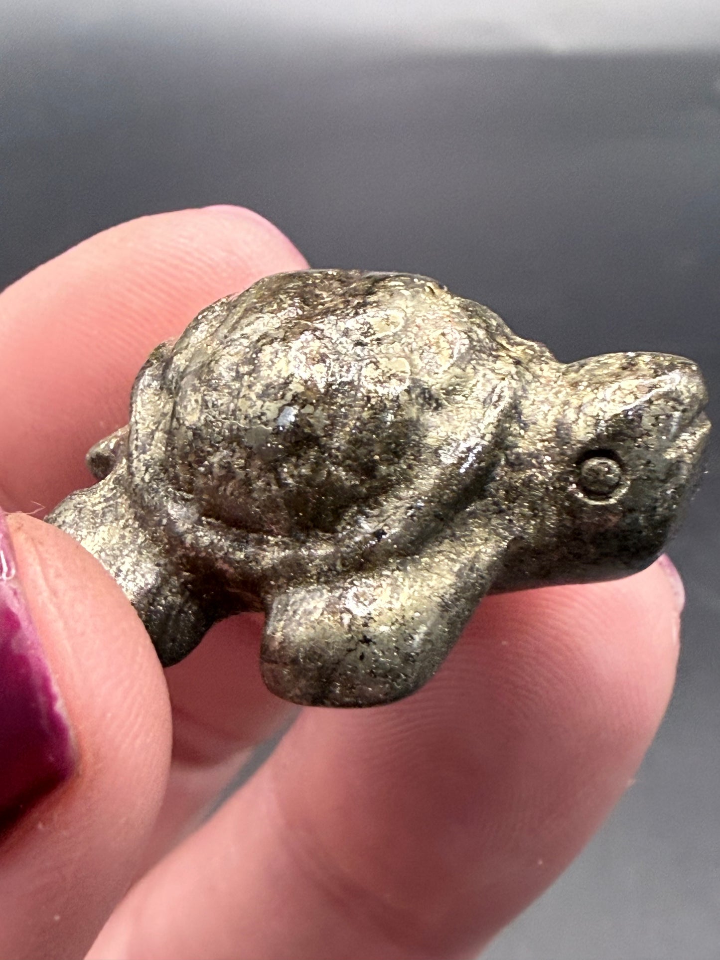 Pyrite Turtle β Strength, Luck & Protection
