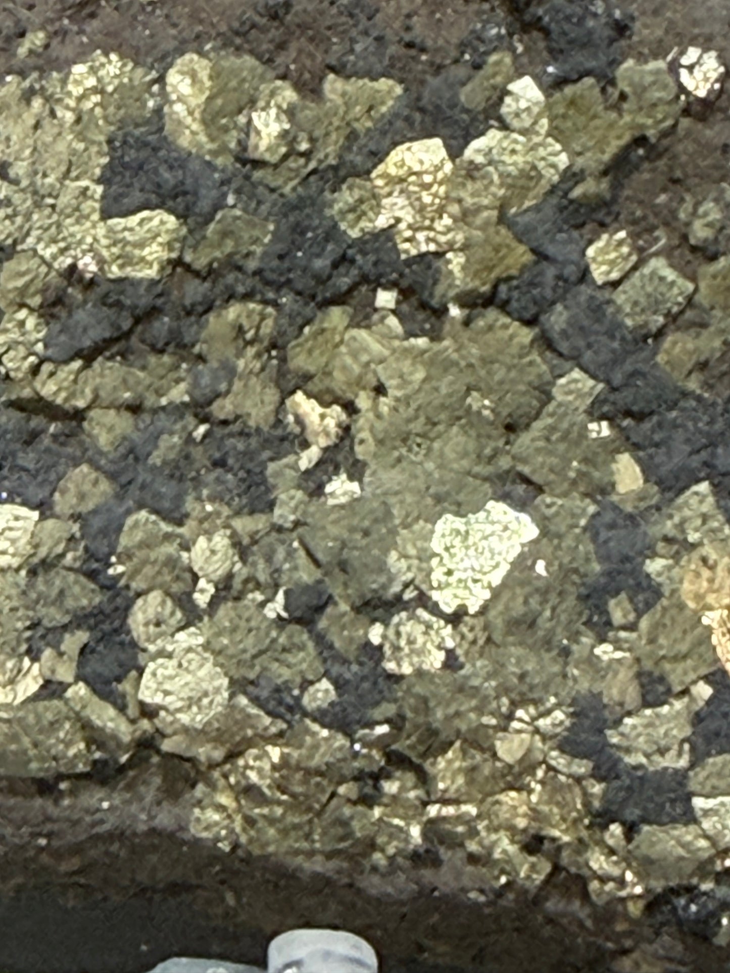 Natural Pyrite on Shungite Specimen – 174g