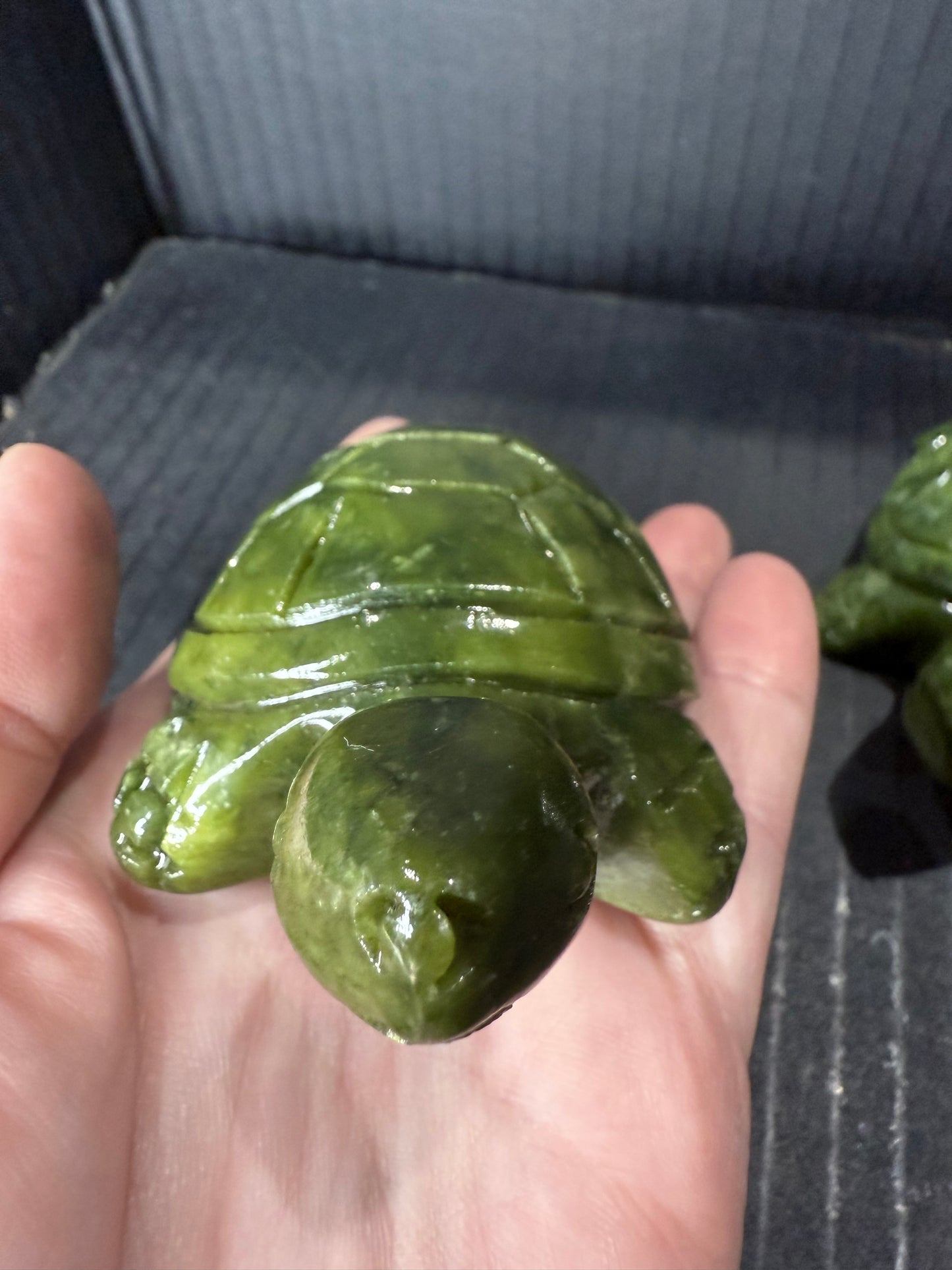 Green Jade Turtle