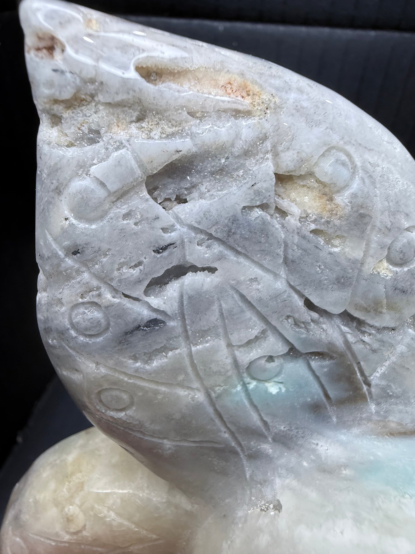 Caribbean Calcite Skull with wings