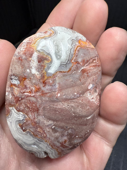 Mexican Agate Palm Stone