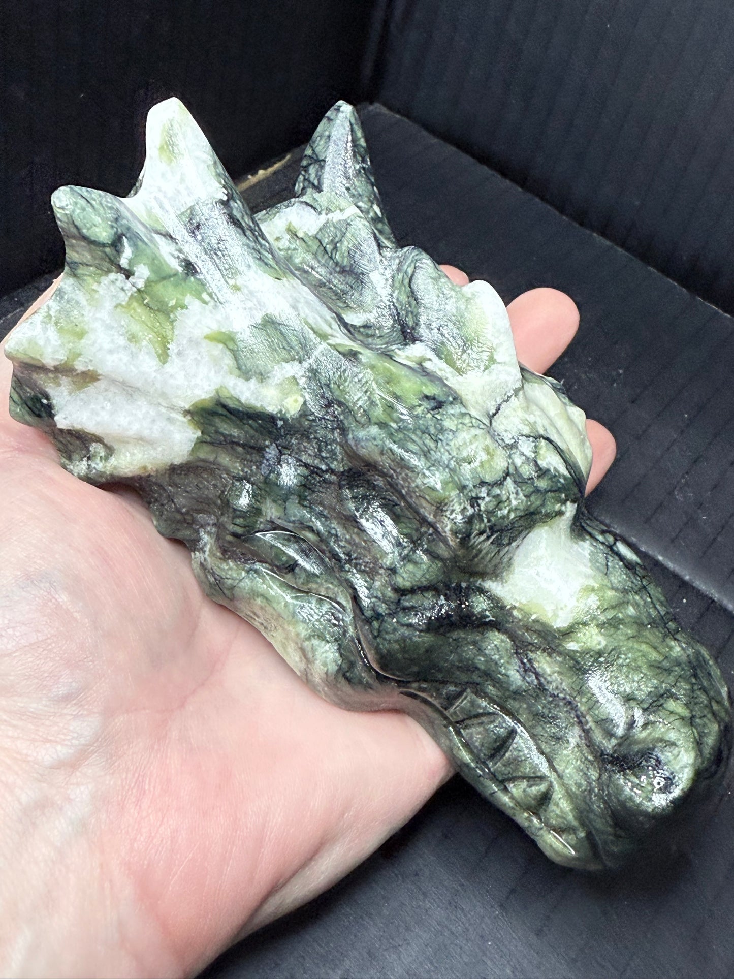 Dragon Head