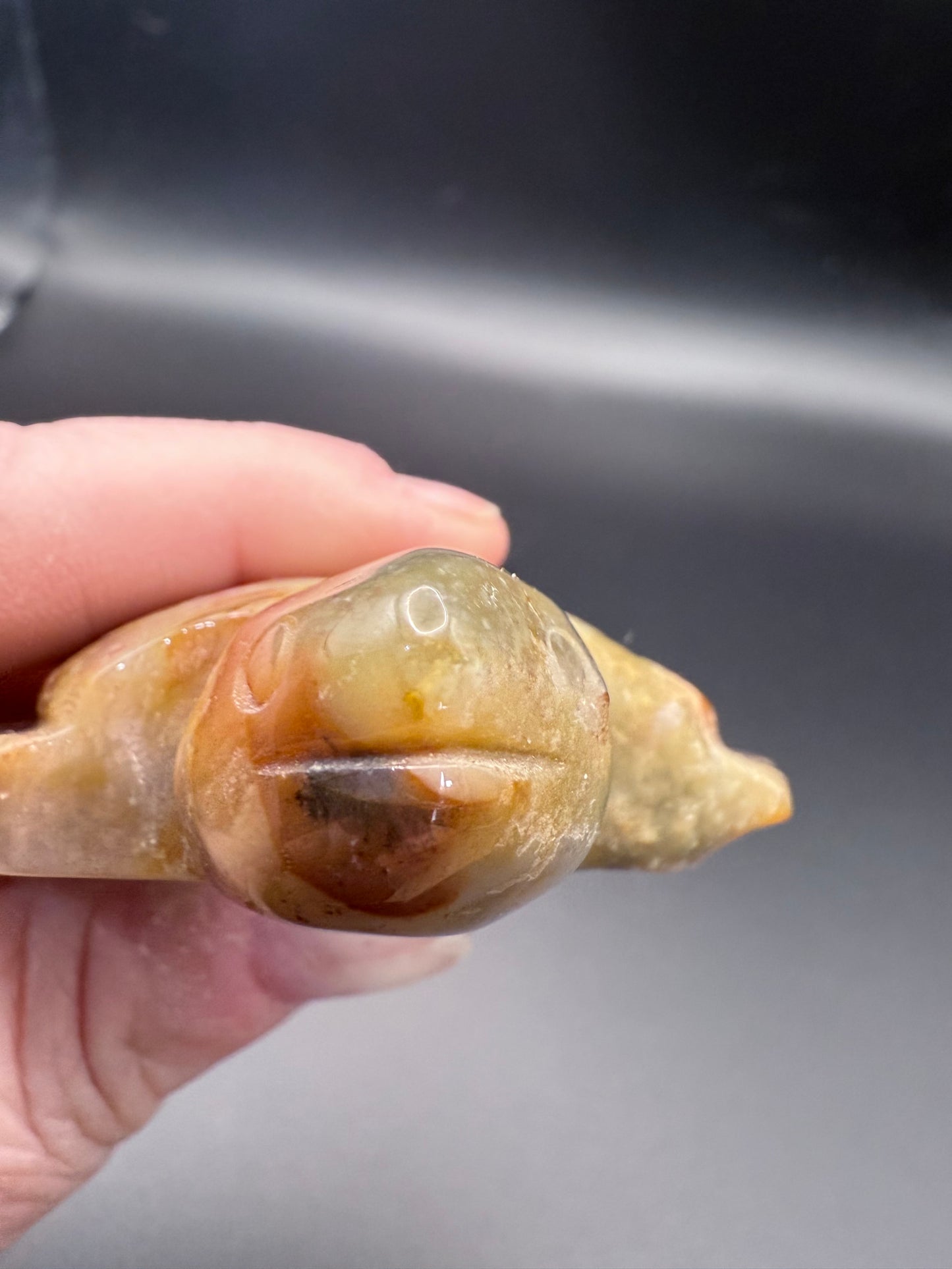 Ocean Jasper Turtle