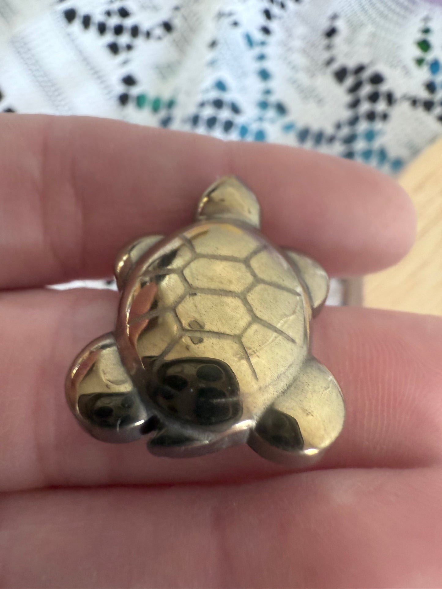 Pyrite Turtle