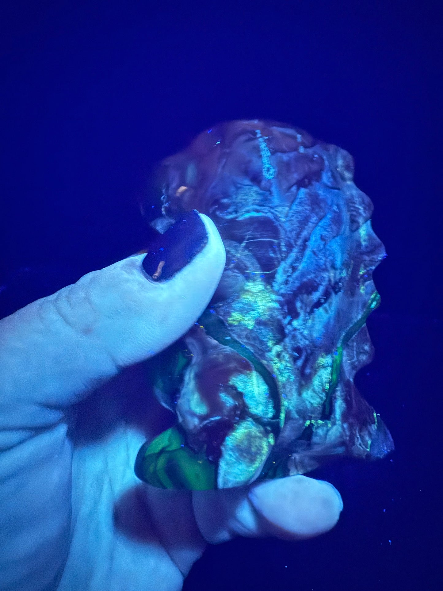 Volcano Agate T-Rex Dino