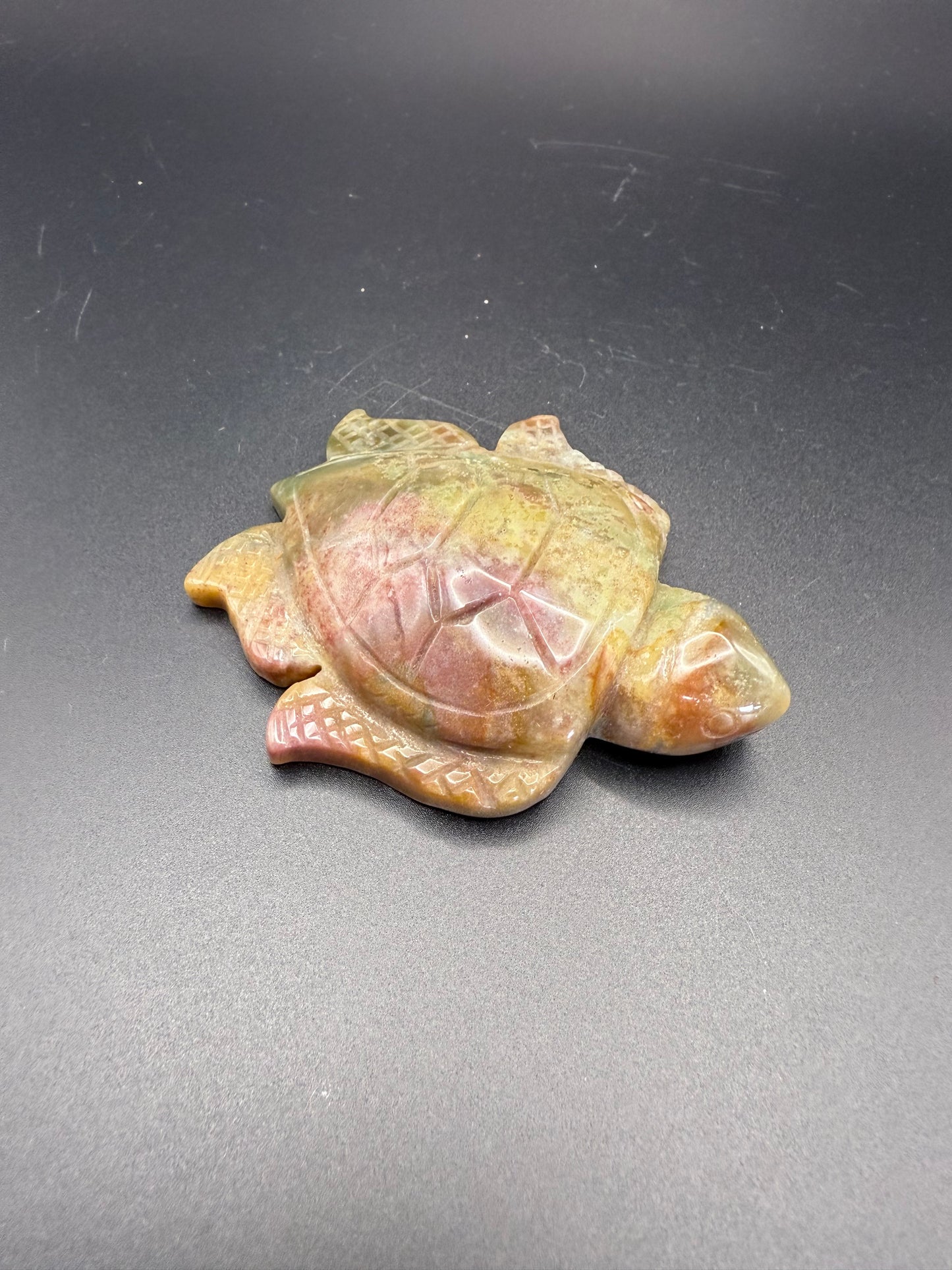 Ocean Jasper Turtle