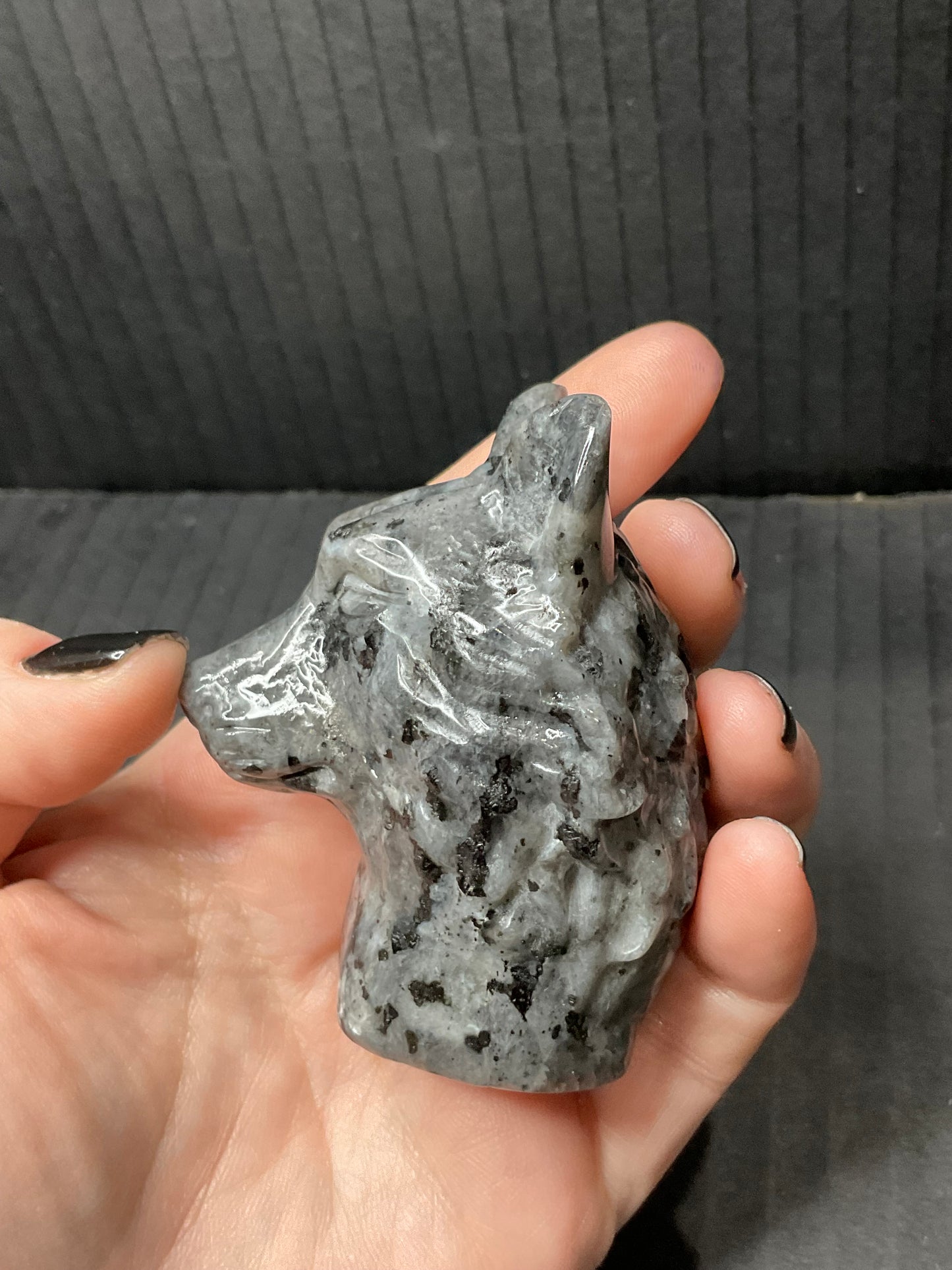 Larvikite Wolf Head