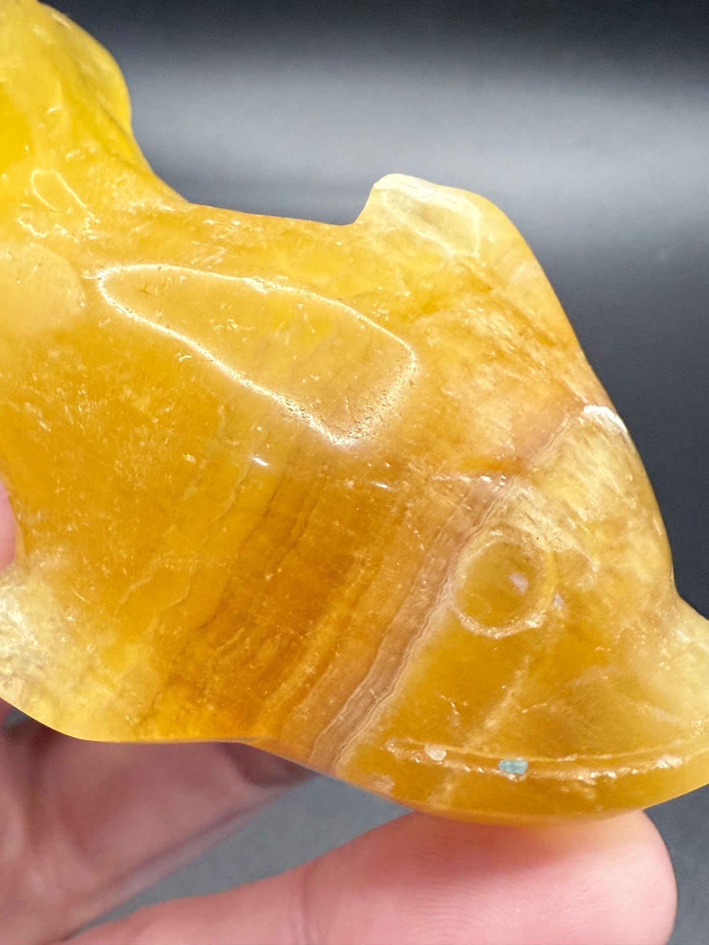 Golden Yellow Fluorite Dolphin Carving โ 152g | 8 x 4.1cm