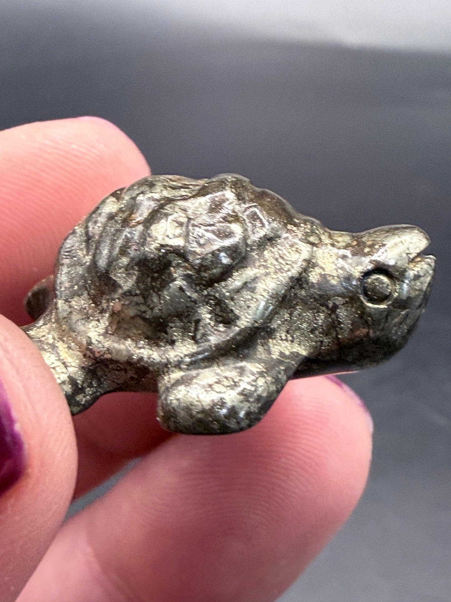 Pyrite Turtle β Strength, Luck & Protection