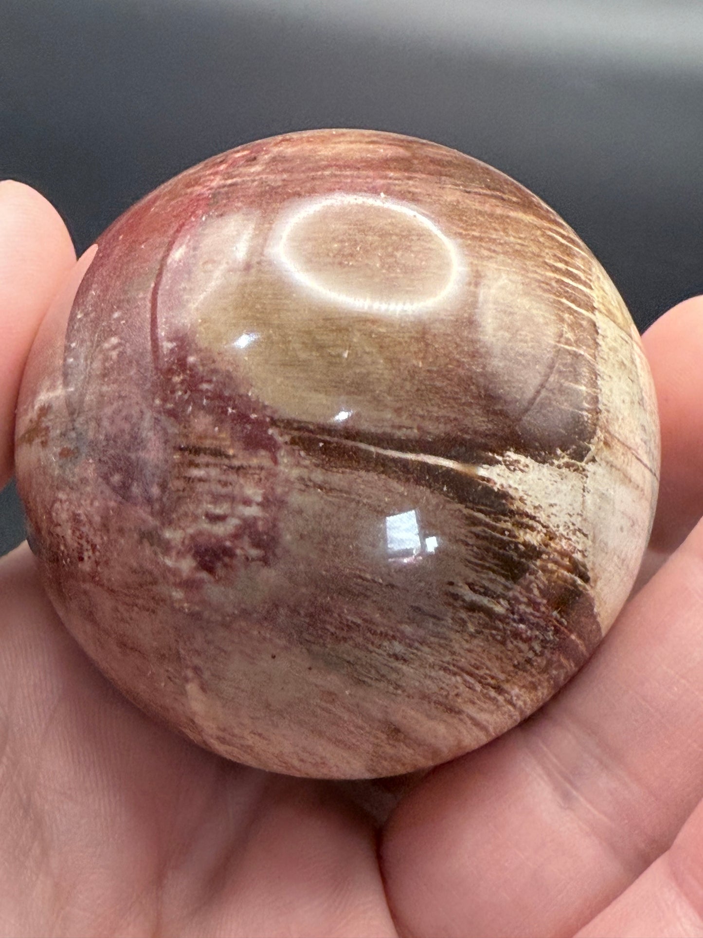 Petrified Wood Sphere