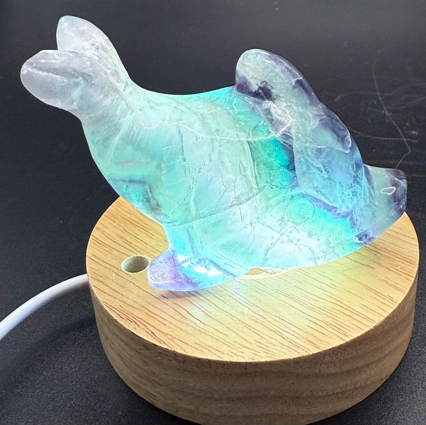 Rainbow Fluorite Dolphin Carving ā 172g | 8.6 x 4.7cm