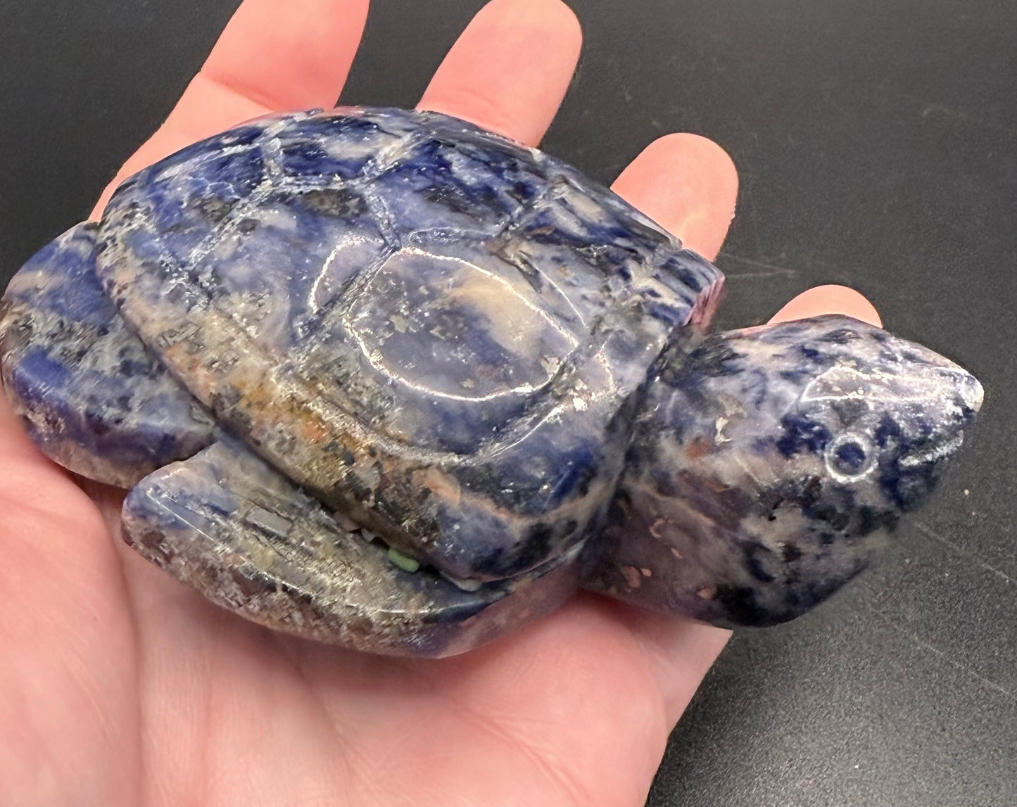 Sodalite Turtle Carving ā 275g | 9.8 Ć 7.1cm