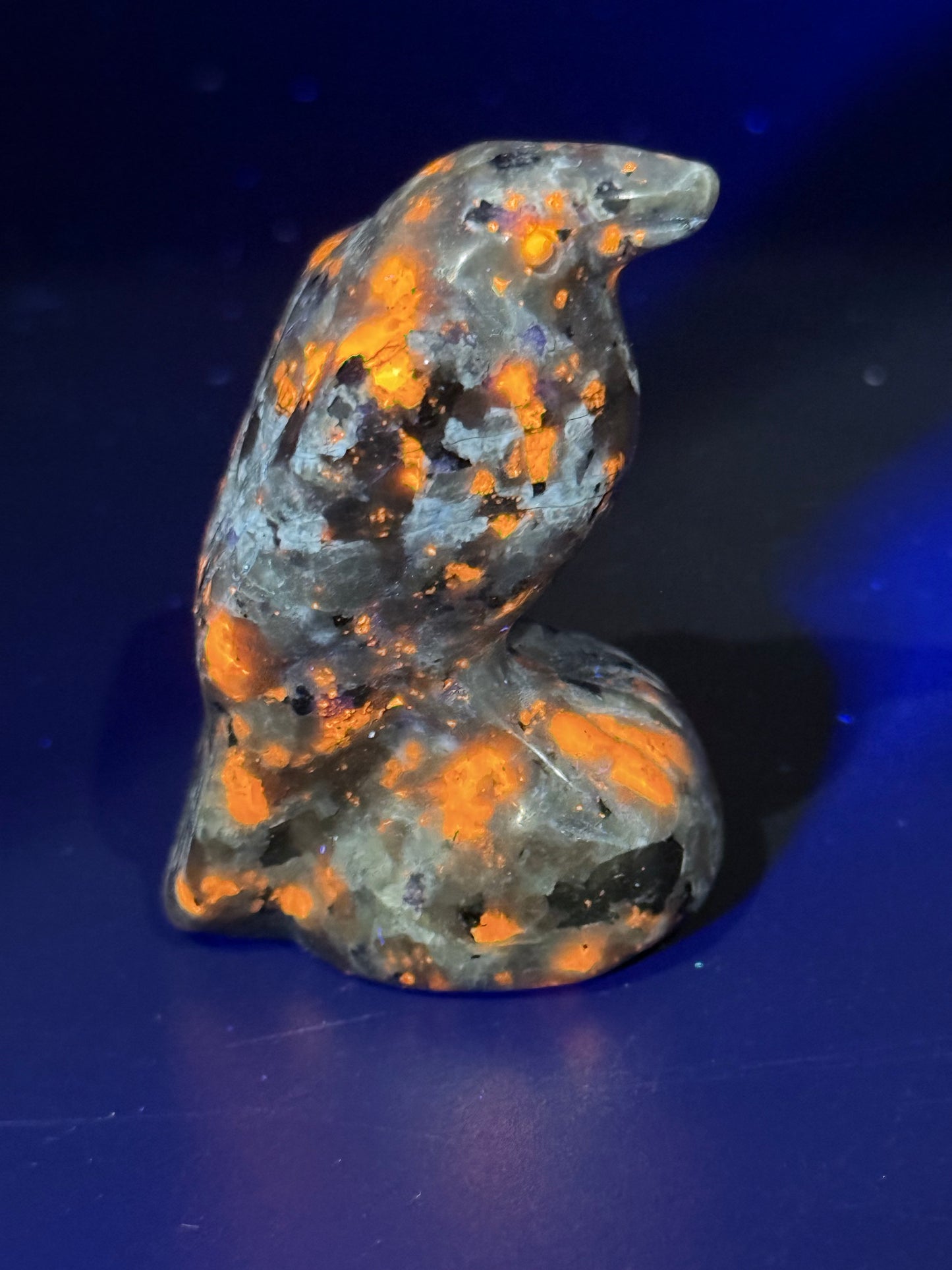 Yooperlite Raven Carving β UV Reactive