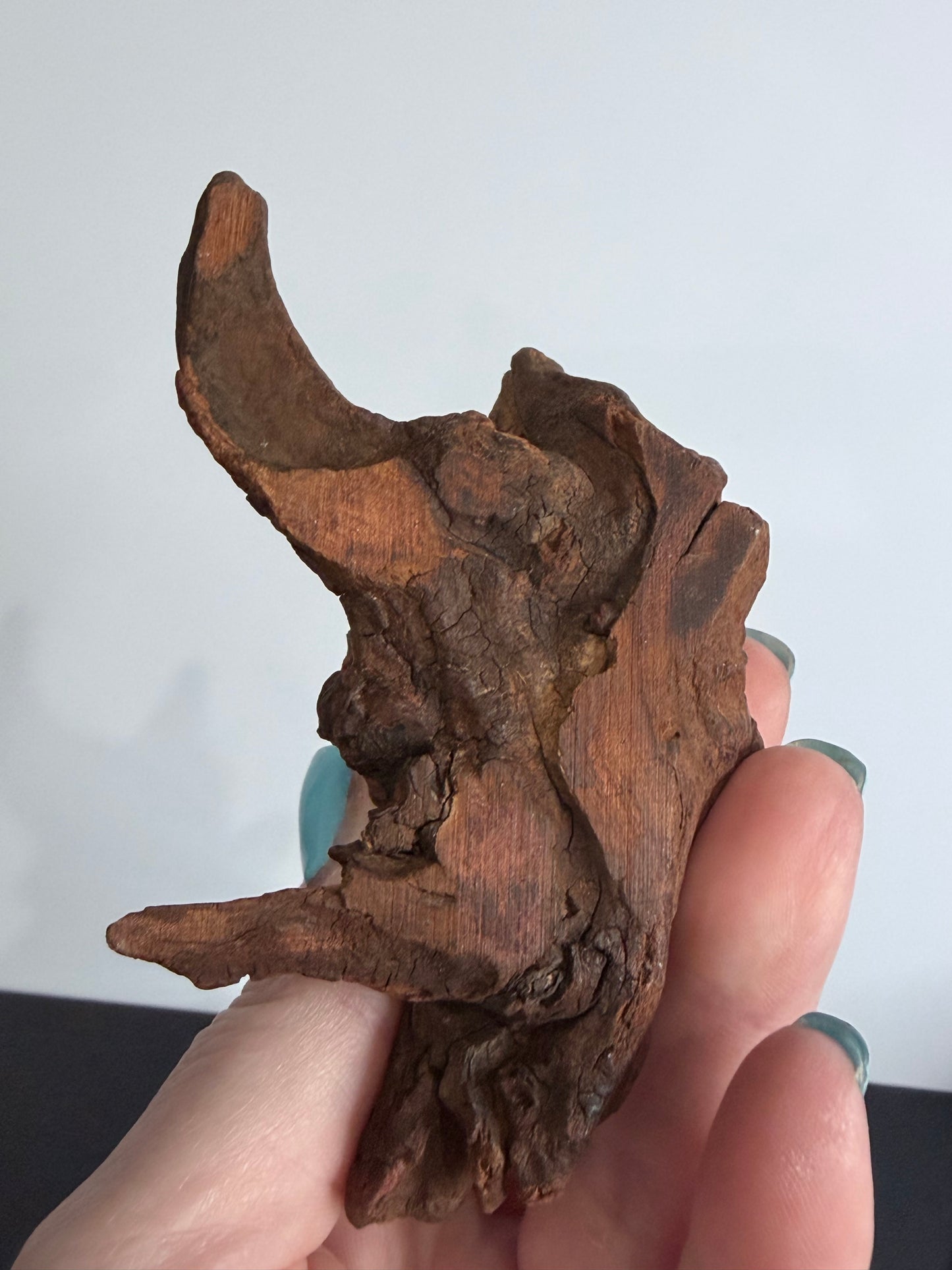 Natural Driftwood Sphere Stand D