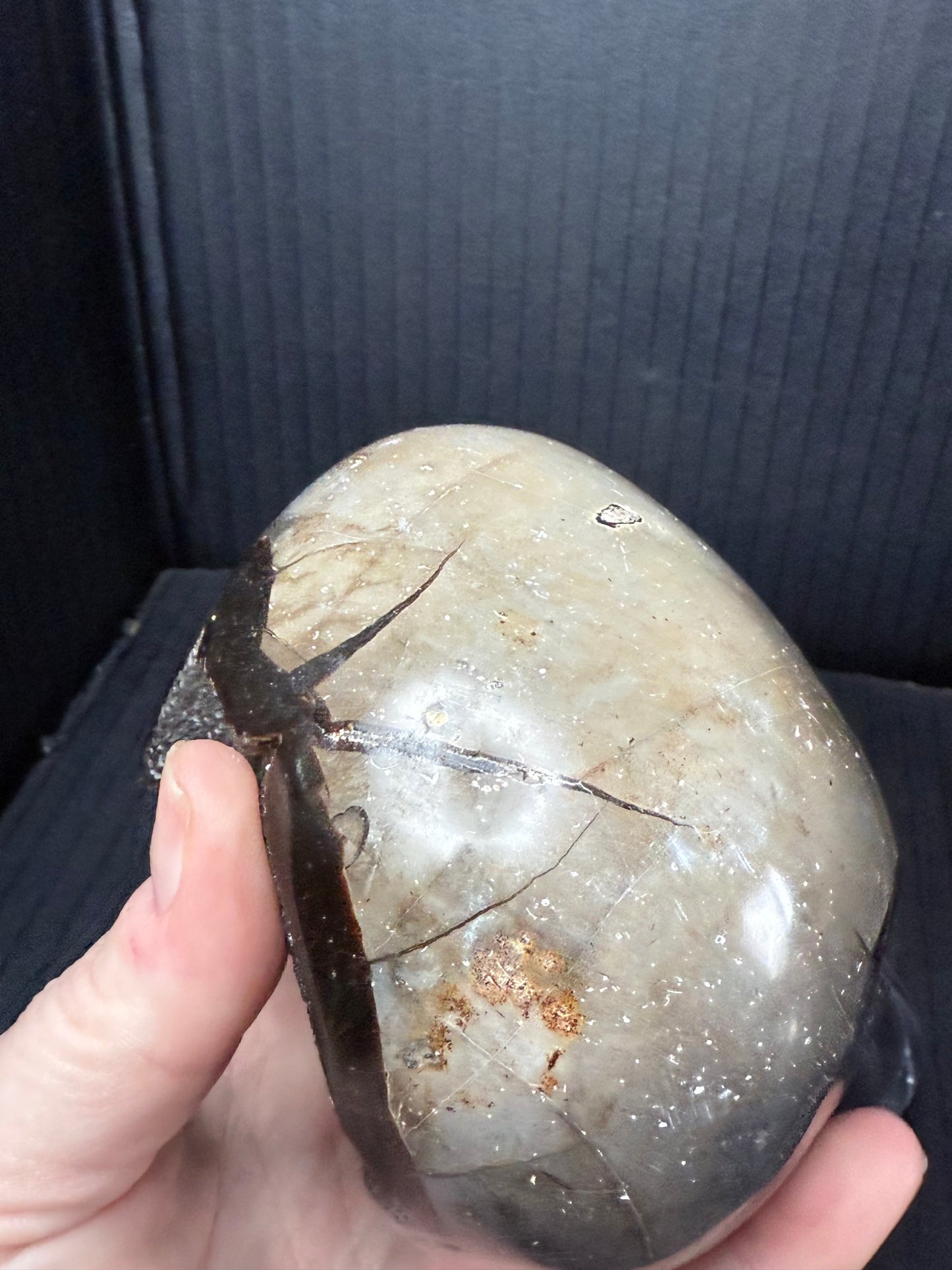 Septarian/dino Egg