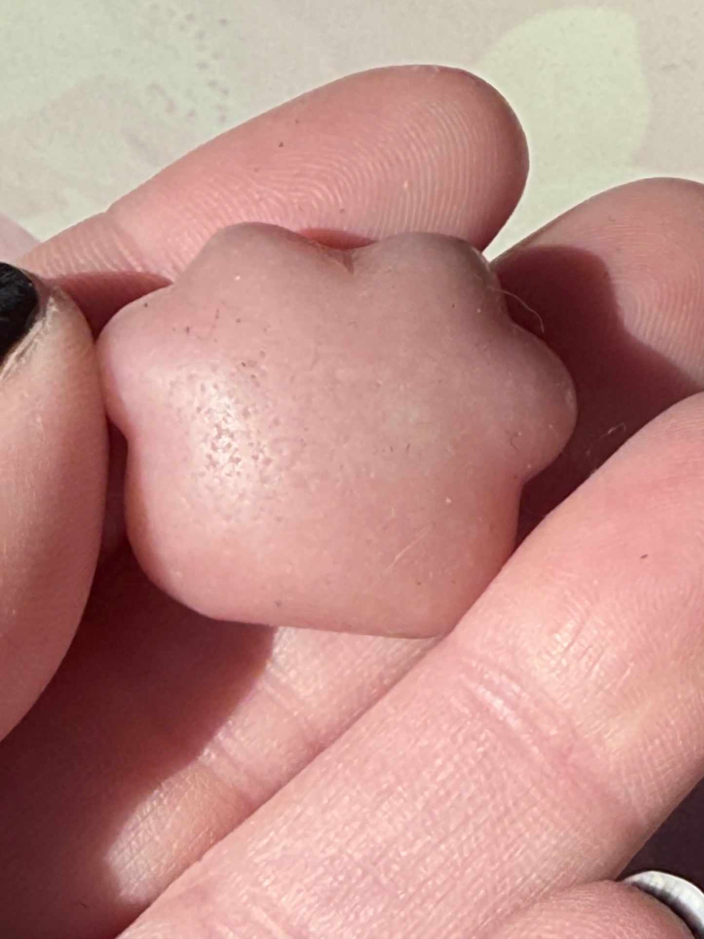 Mini Animal Paws