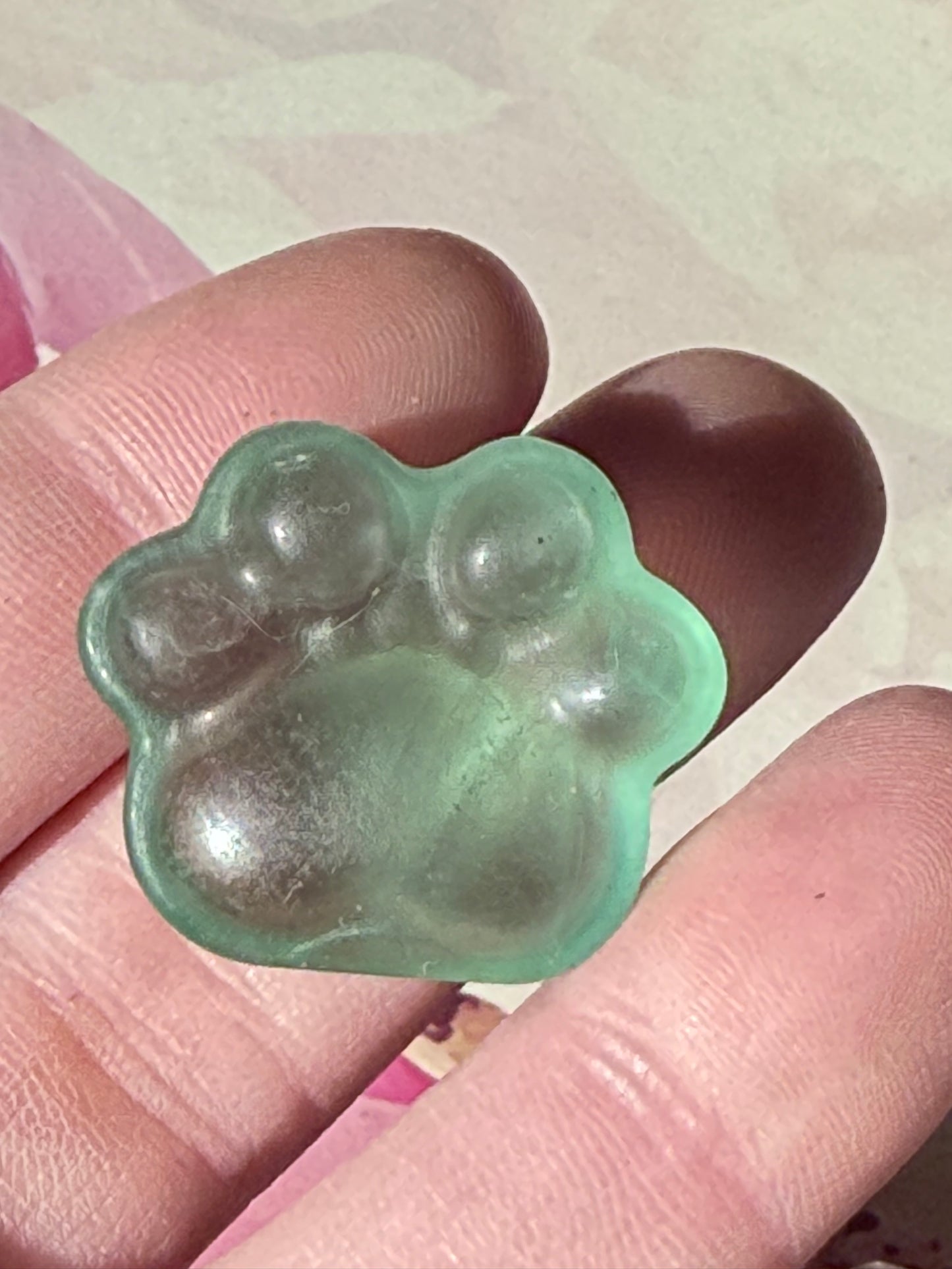 Mini Animal Paws