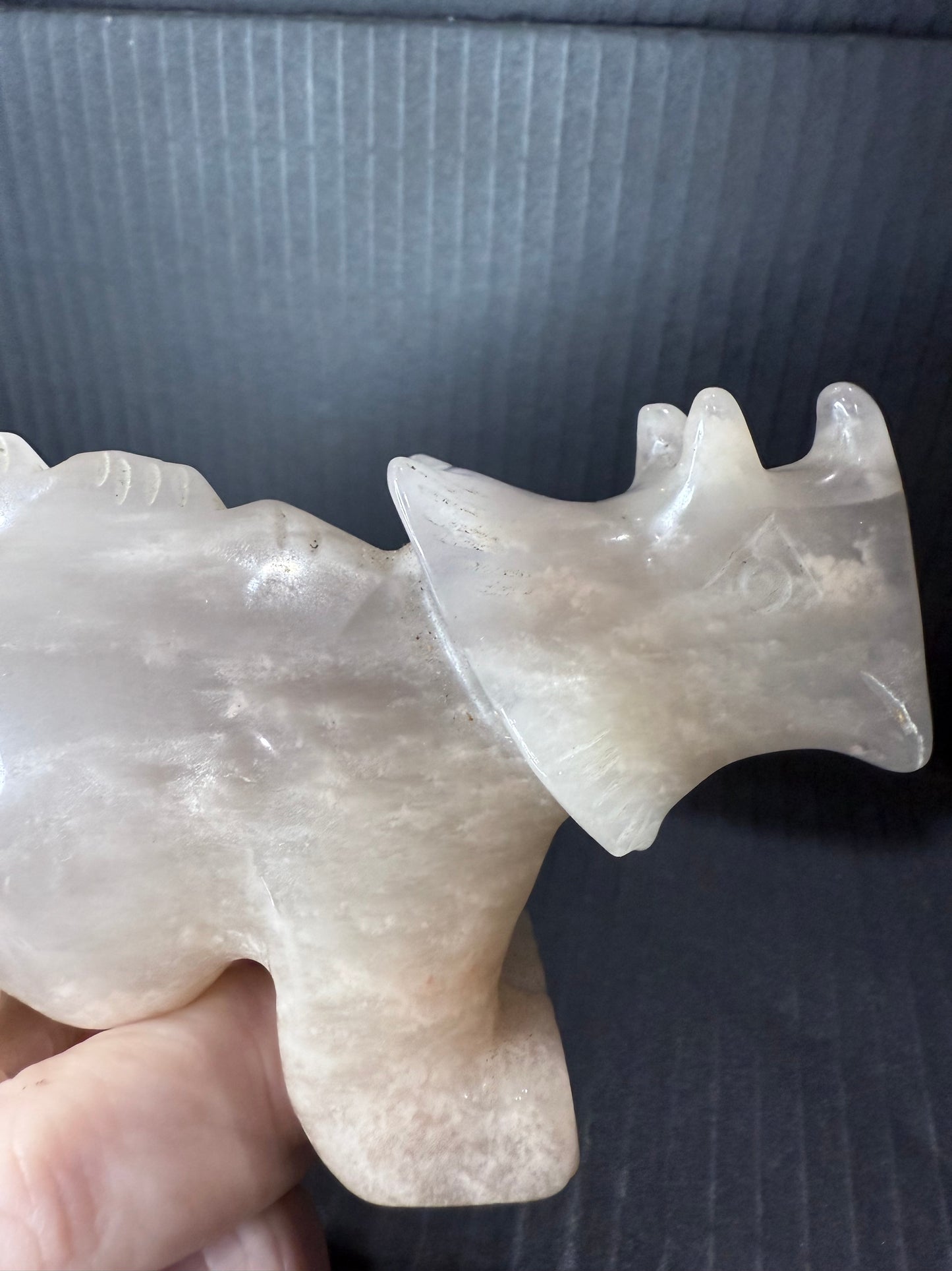 Flower Agate Triceratops Dino