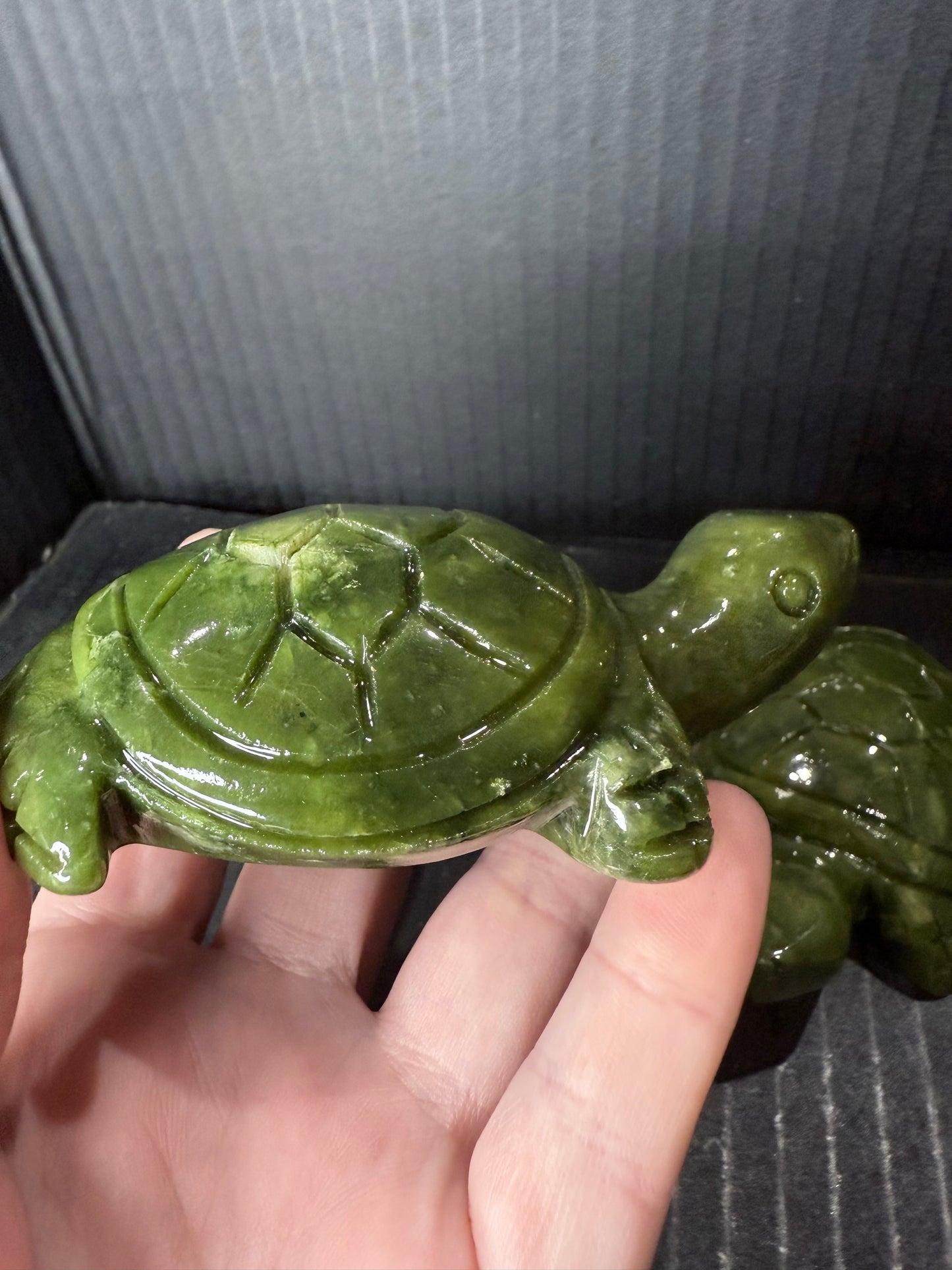 Green Jade Turtle