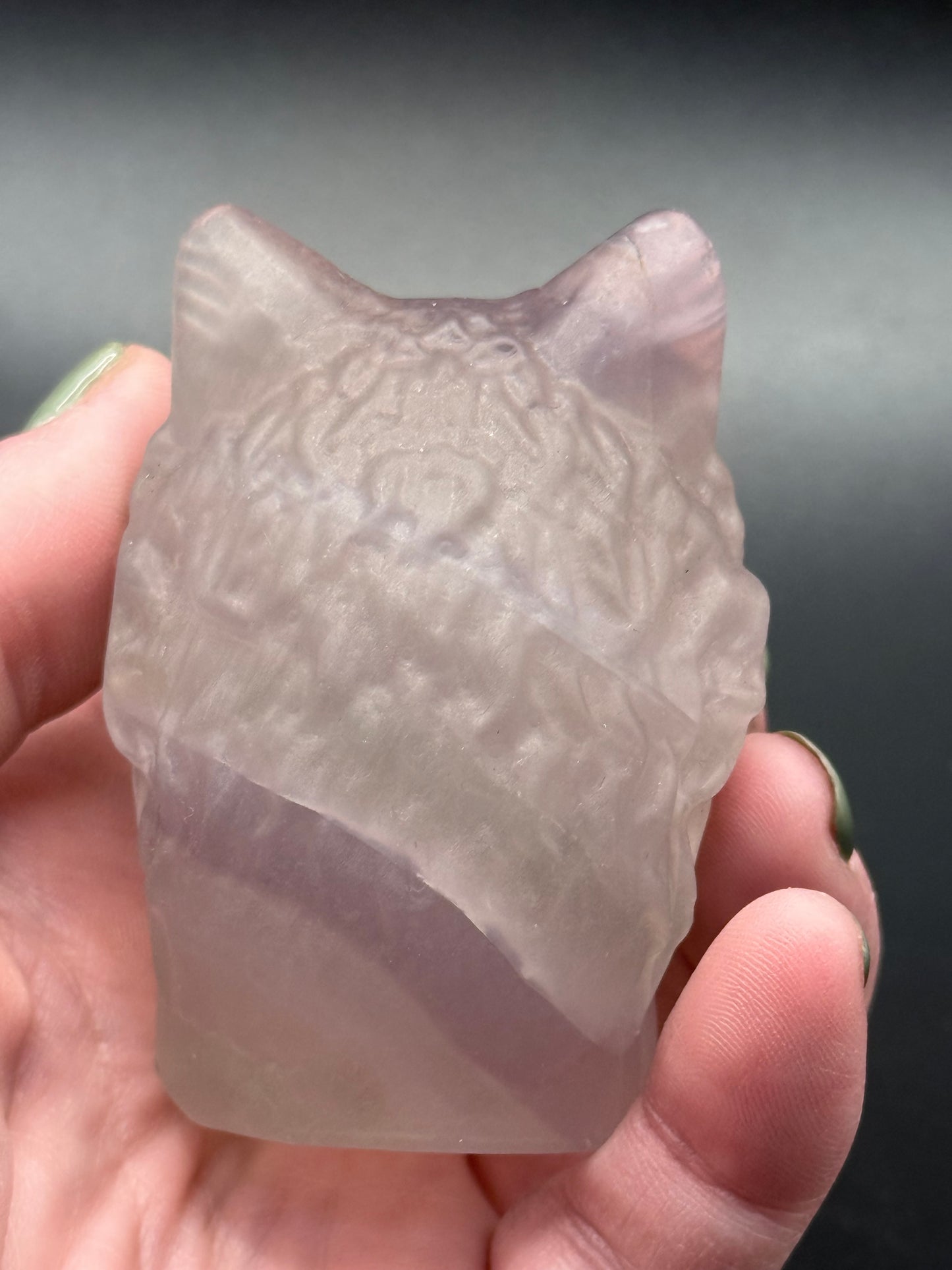 Rainbow Fluorite wolf Head