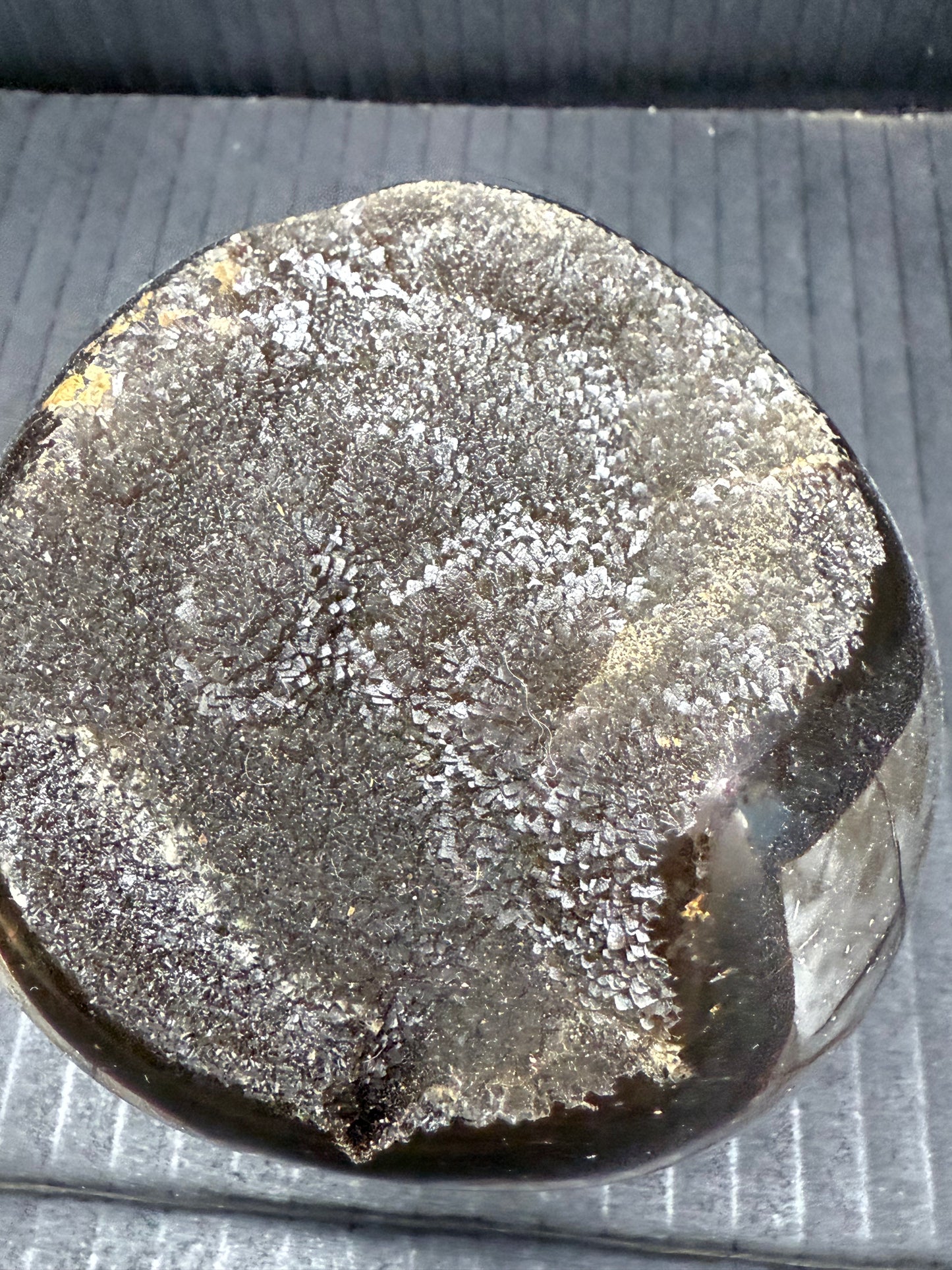 Septarian/dino Egg