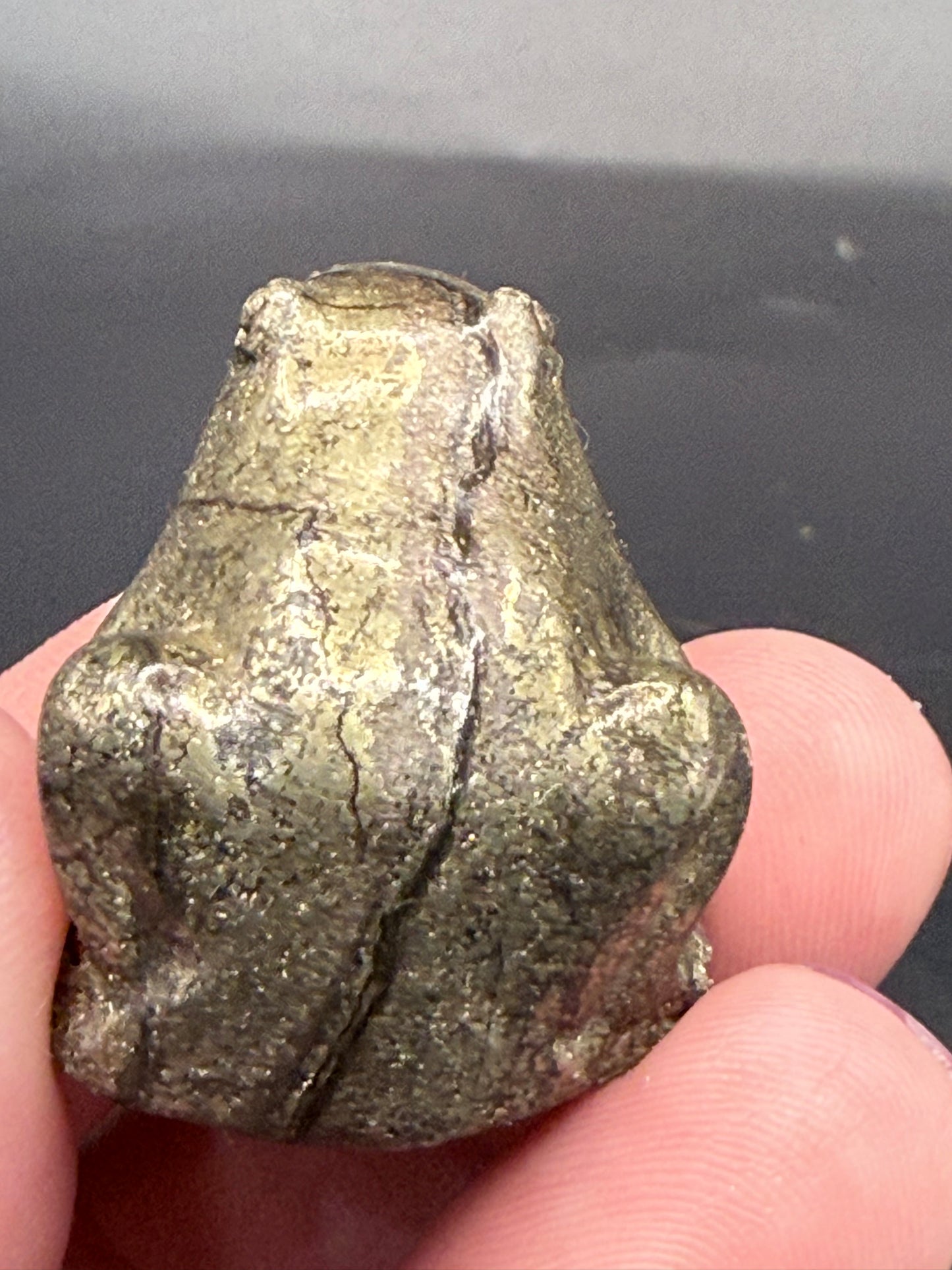 Pyrite Frog