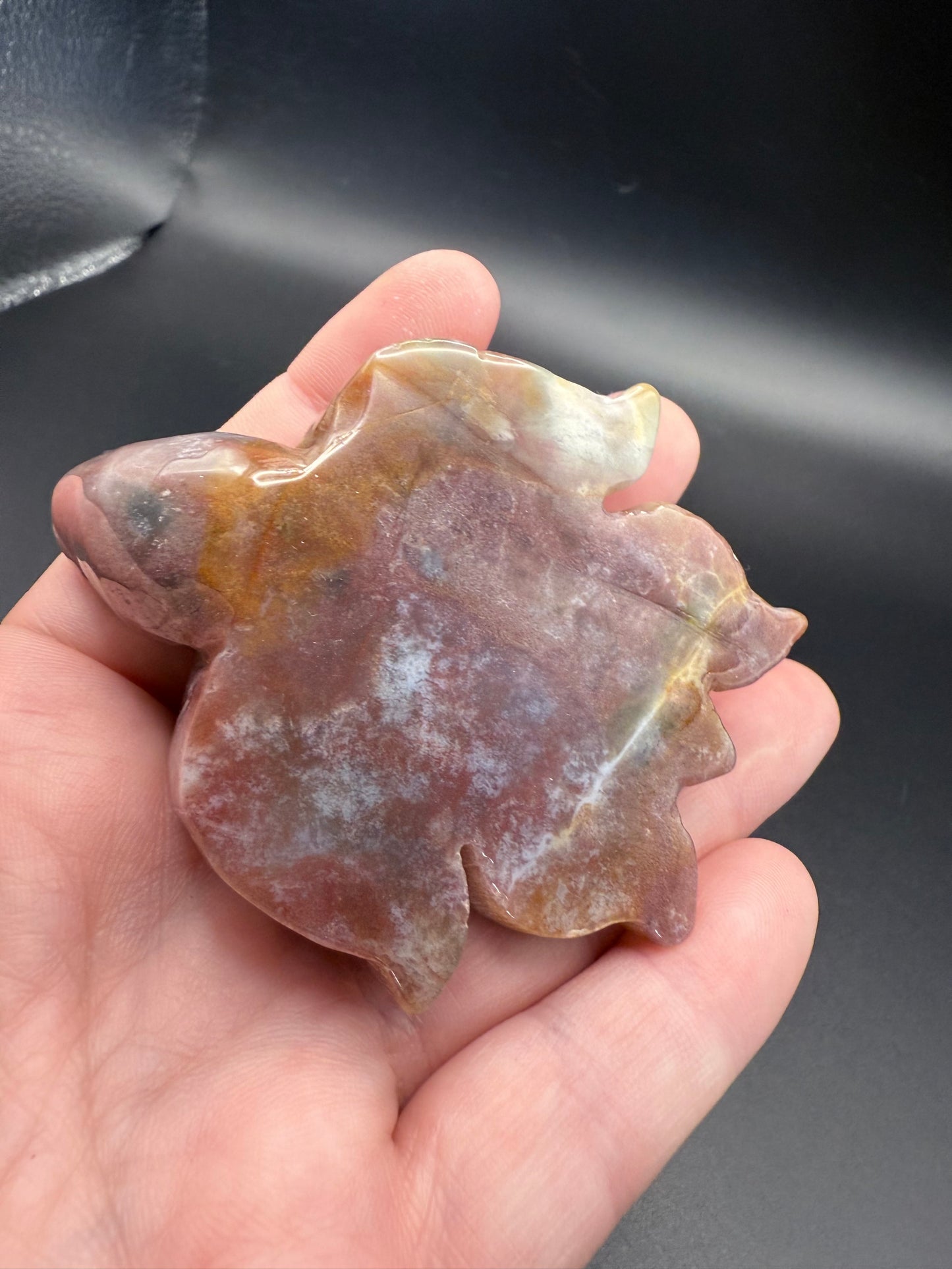 Ocean Jasper Turtle