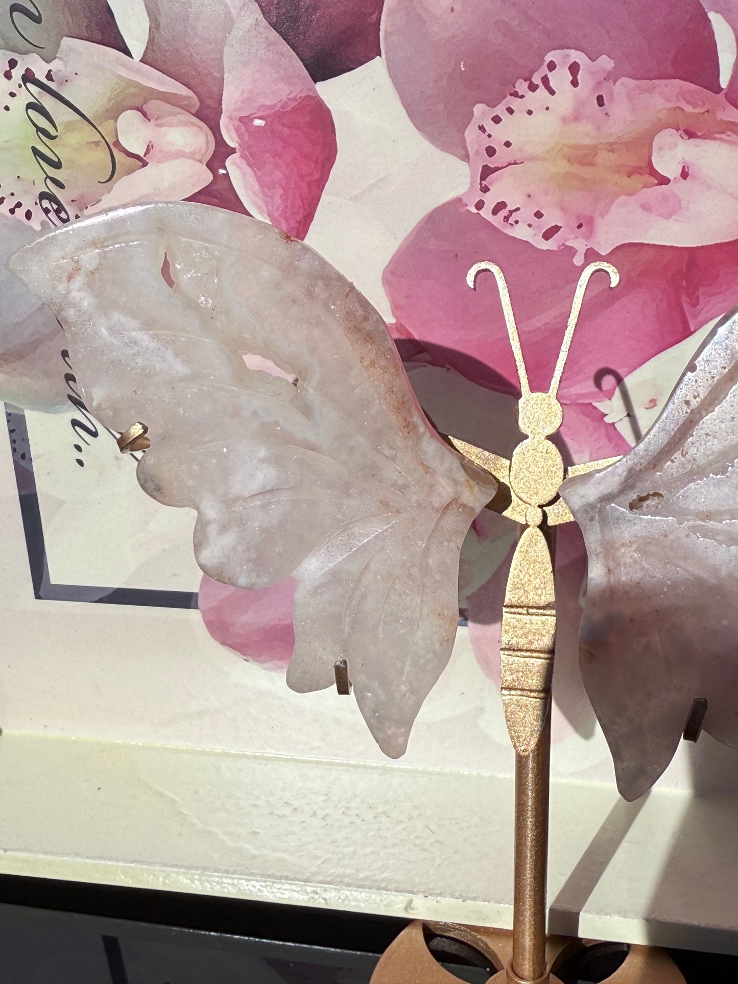Flower Agate Butterfly on Gold Stand