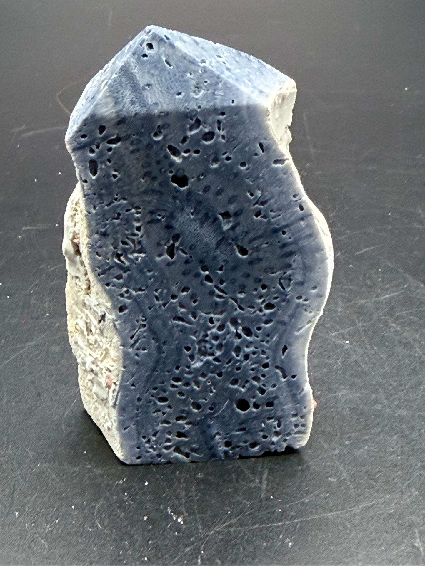 Blue Coral Specimen Tower