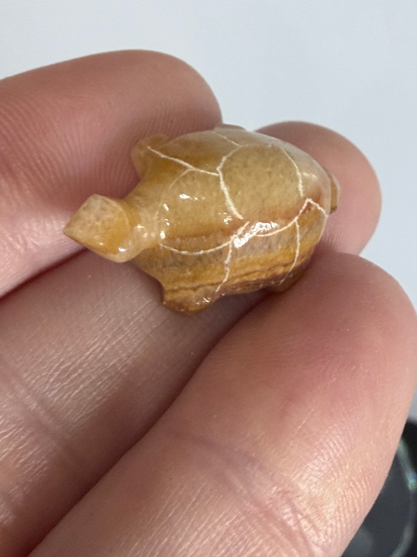 Brown Banded Calcite Turtle Family Carving – Set of 6