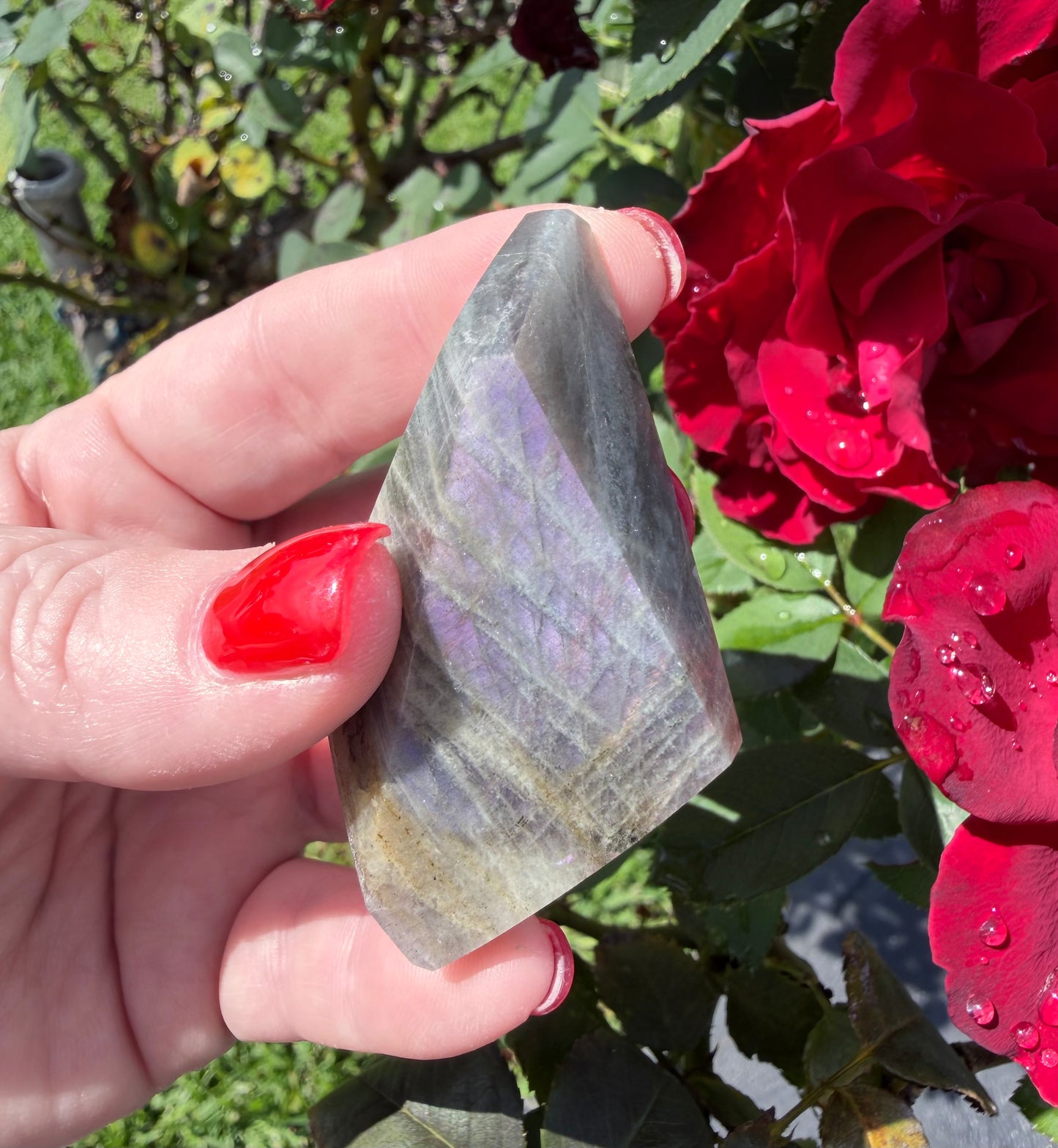 Labradorite Crystal Freeform – Purple & Pink Flash A