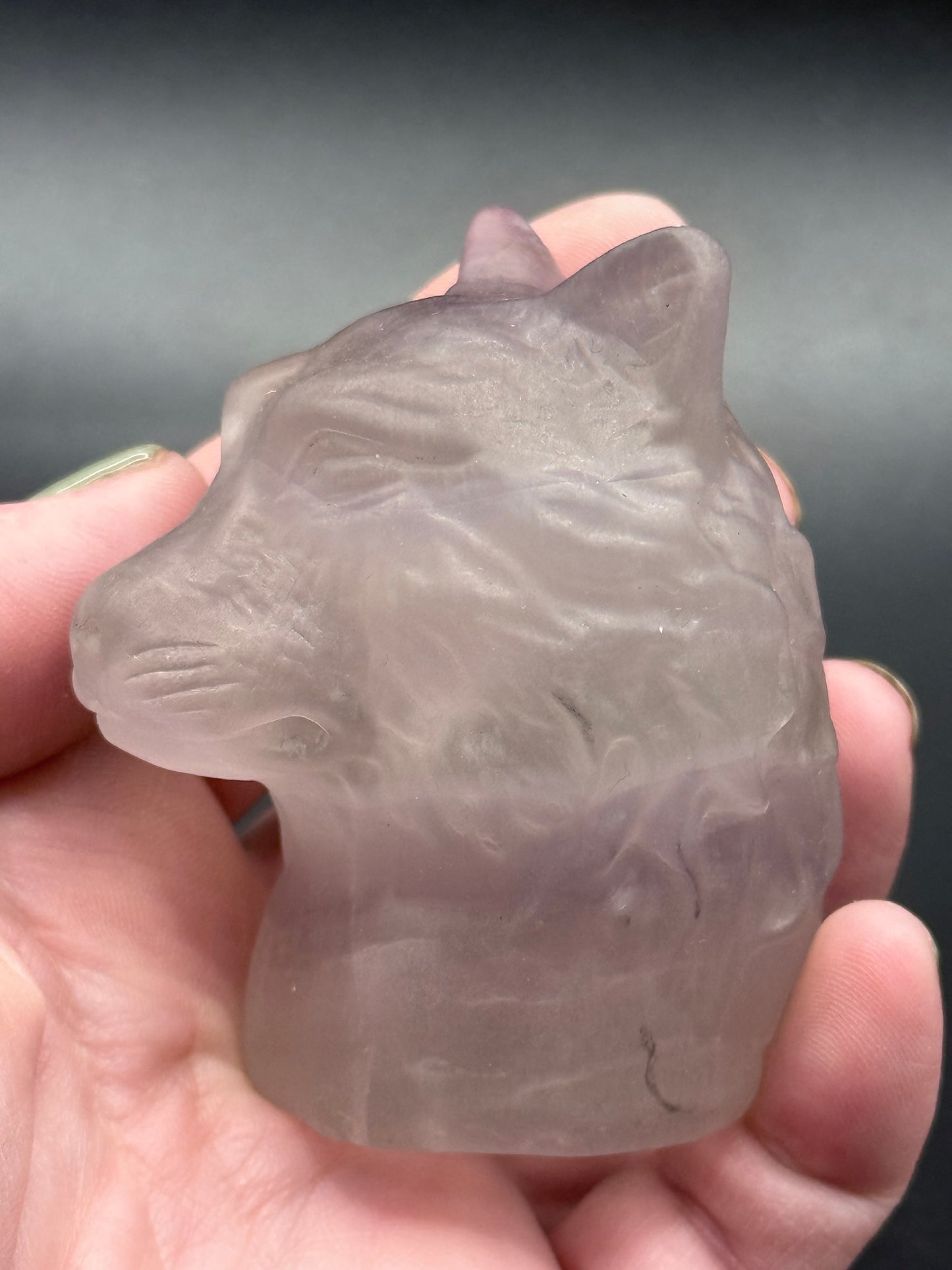 Rainbow Fluorite wolf Head