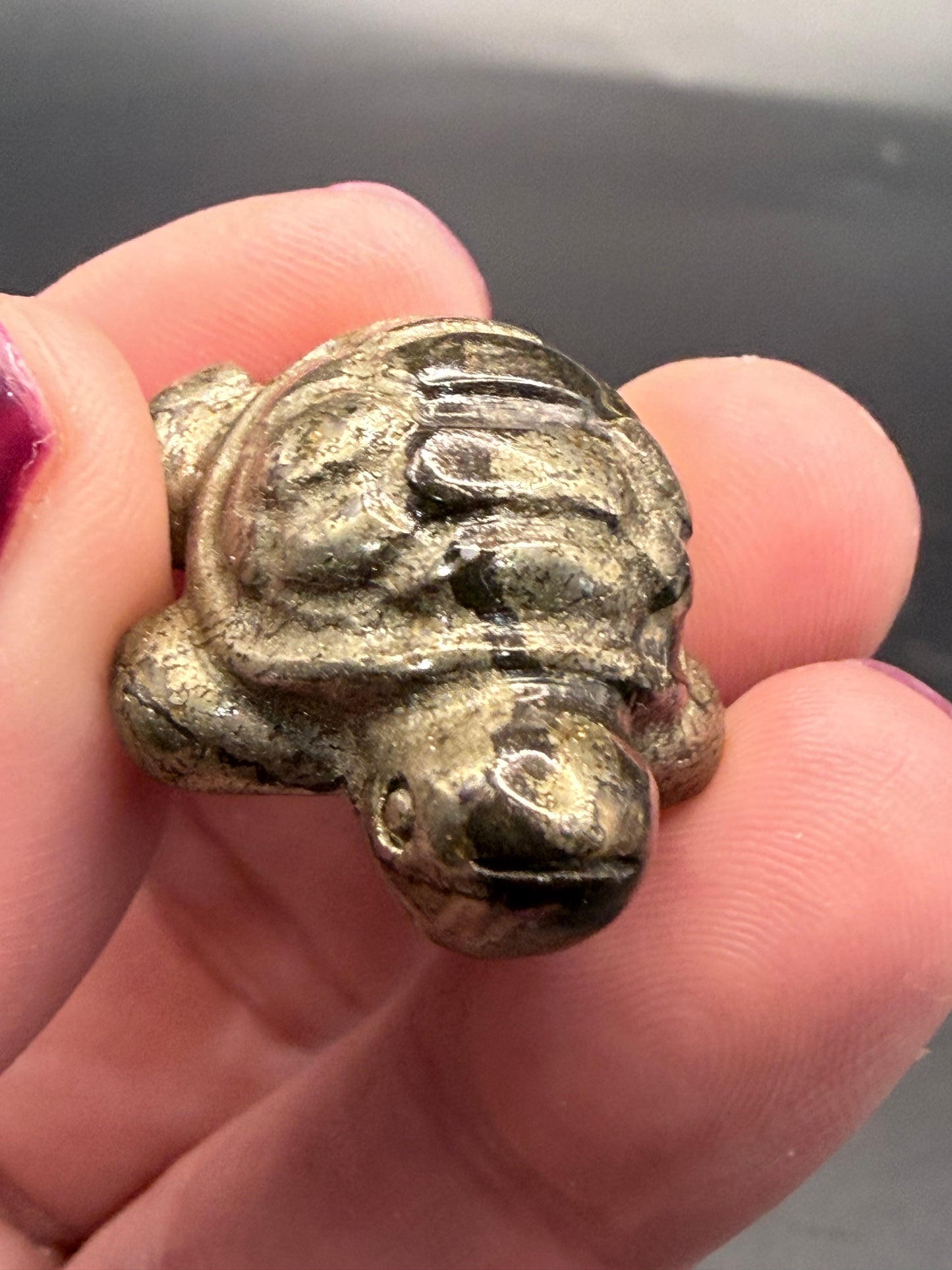Pyrite Turtle β Strength, Luck & Protection