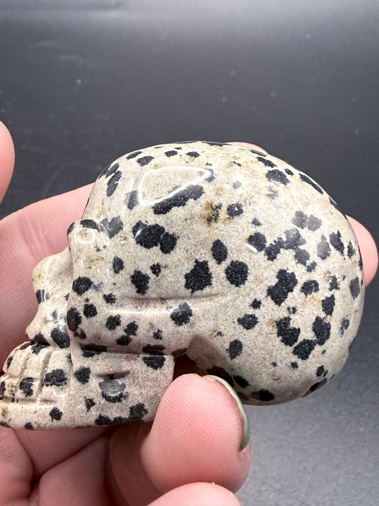 Dalmatian Jasper Skull Carving β 5cm
