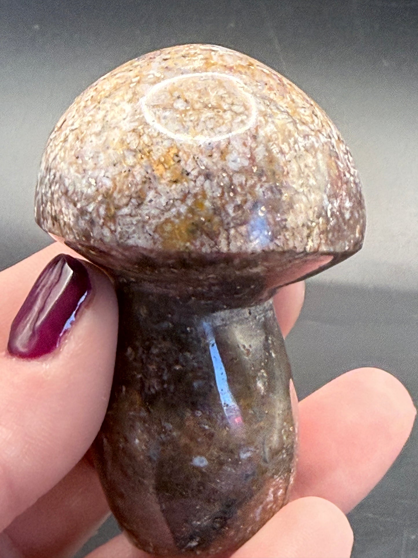 Ocean Jasper Mushroom Carving