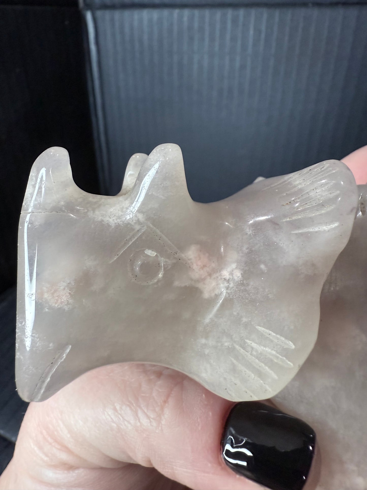 Flower Agate Triceratops Dino