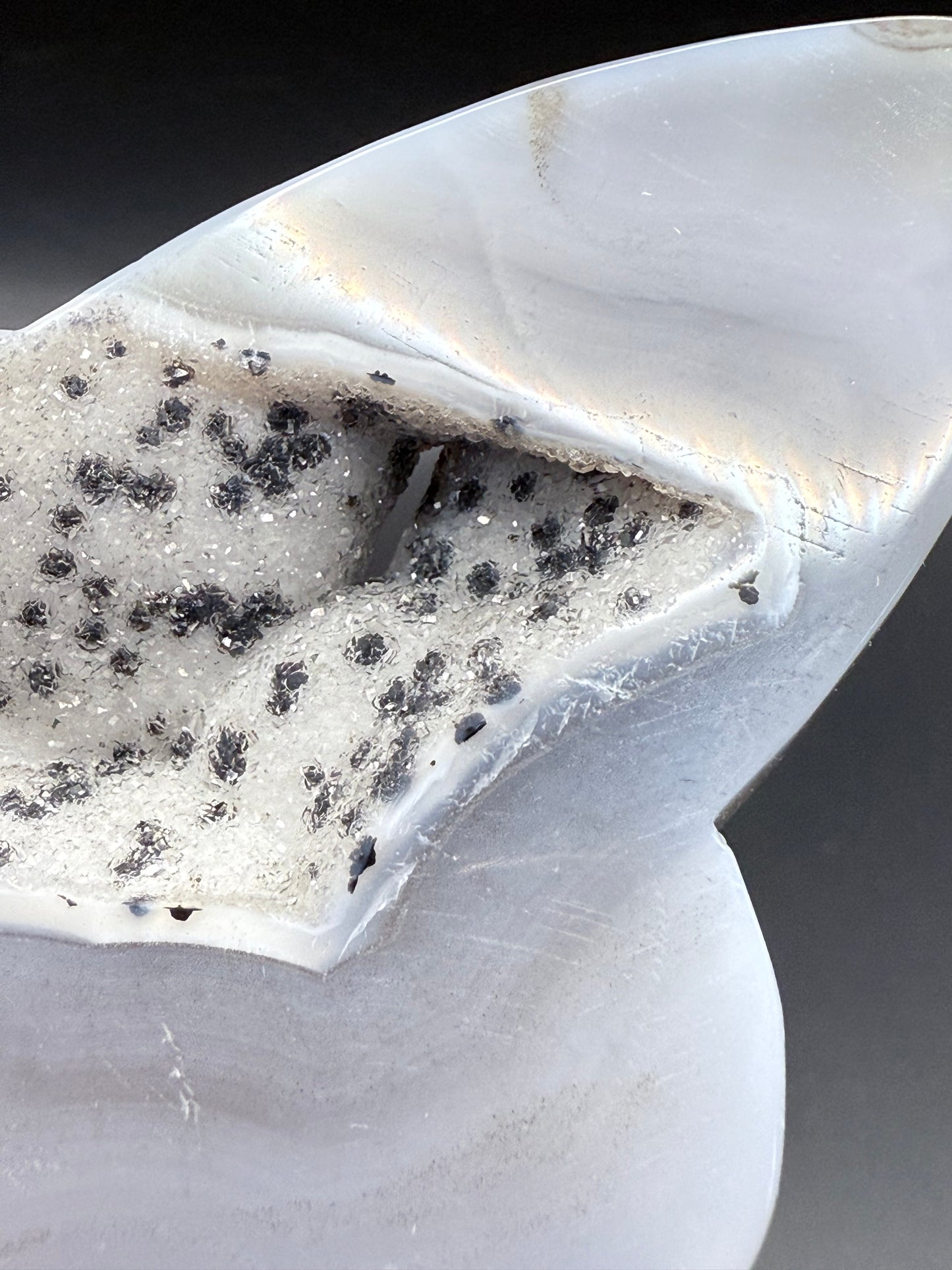 Agate Druzy Butterfly Carving