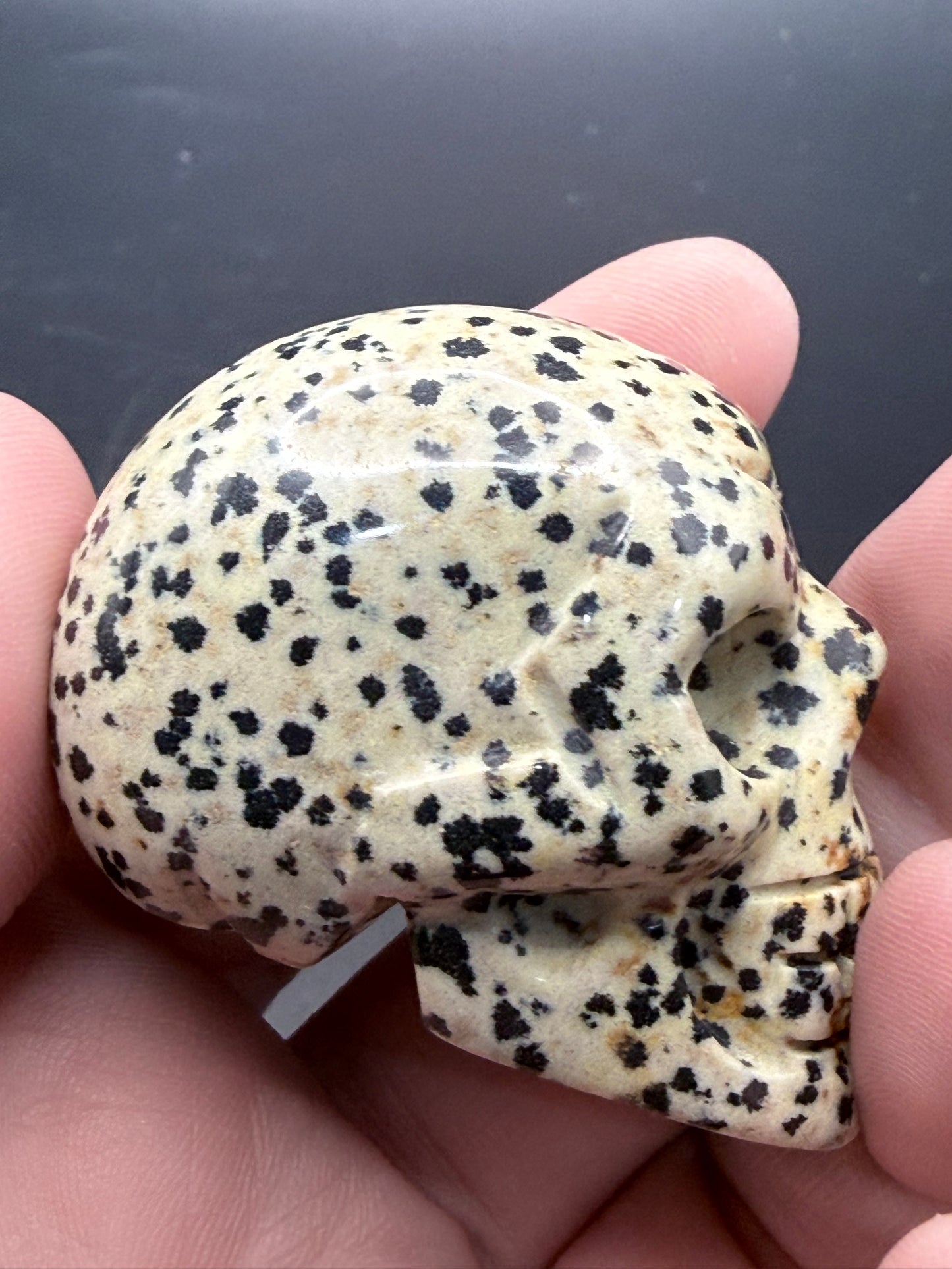 Dalmatian Jasper Skull Carving β 5cm