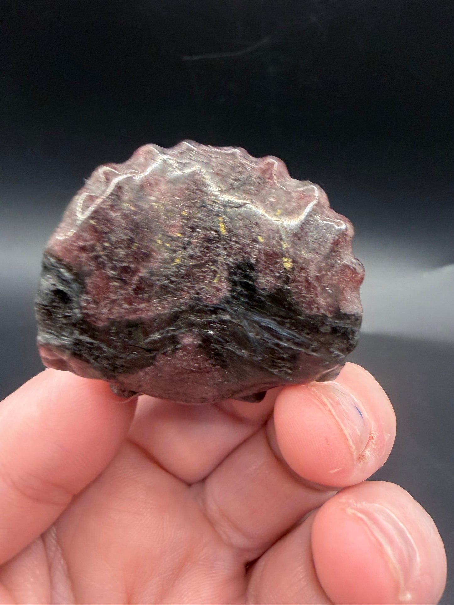 Garnet in Schist Triceratops – Crystal Carving (5cm)