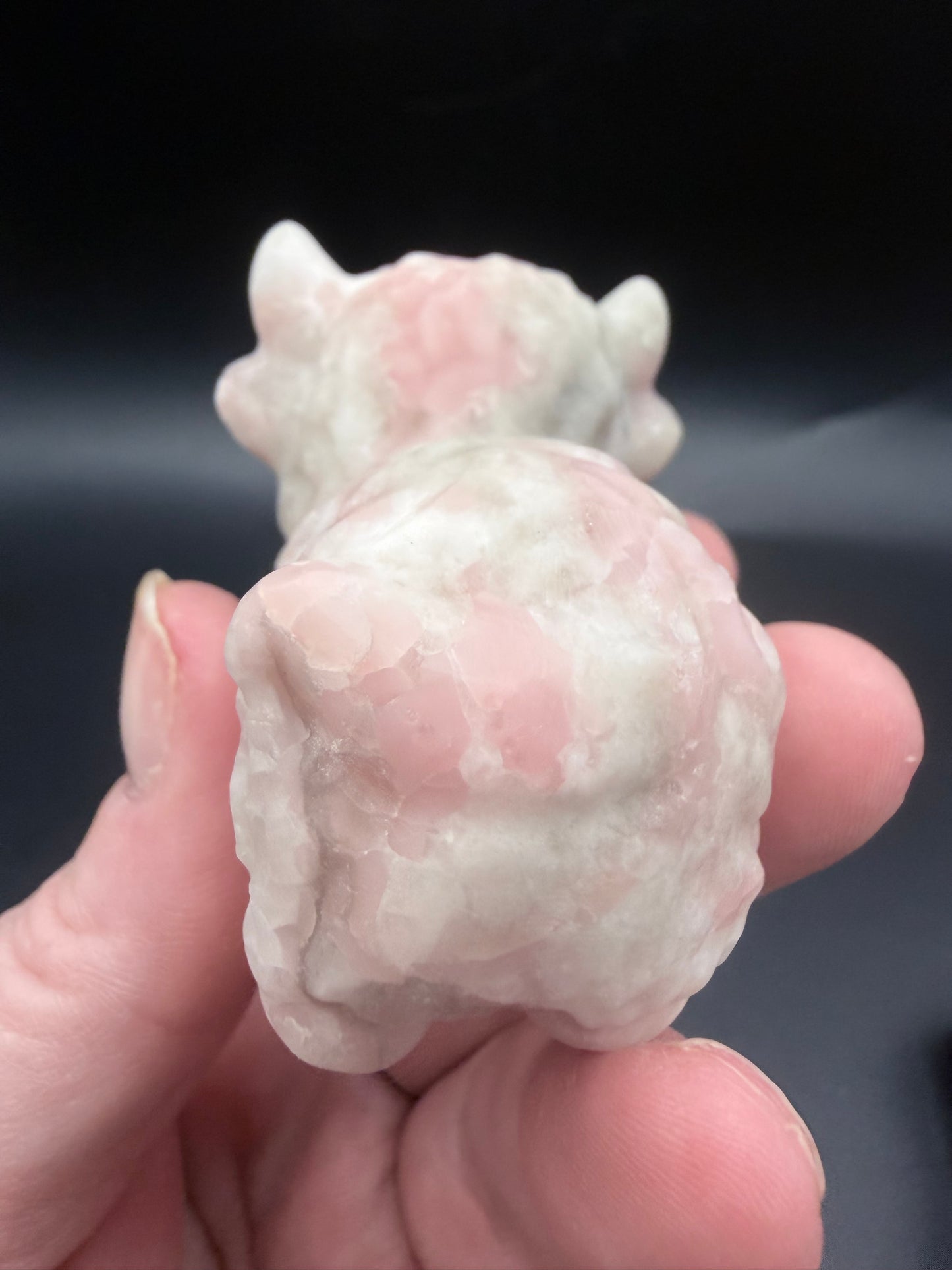 Pink Opal Highland Cow