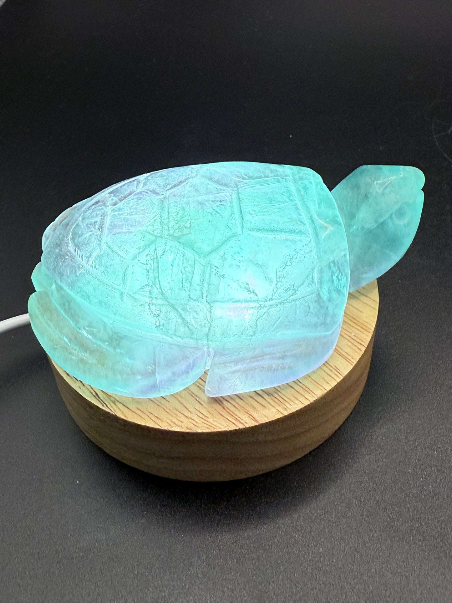 Aqua Fluorite Turtle Carving β 230g | 8.5 Γ 6.5cm