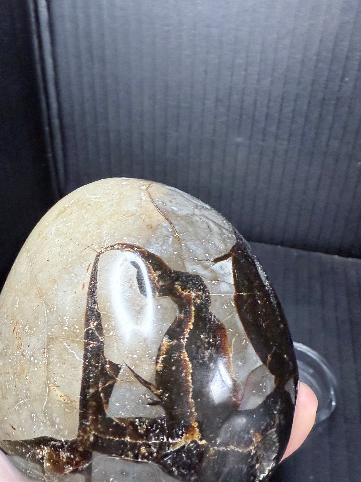 Septarian/dino Egg