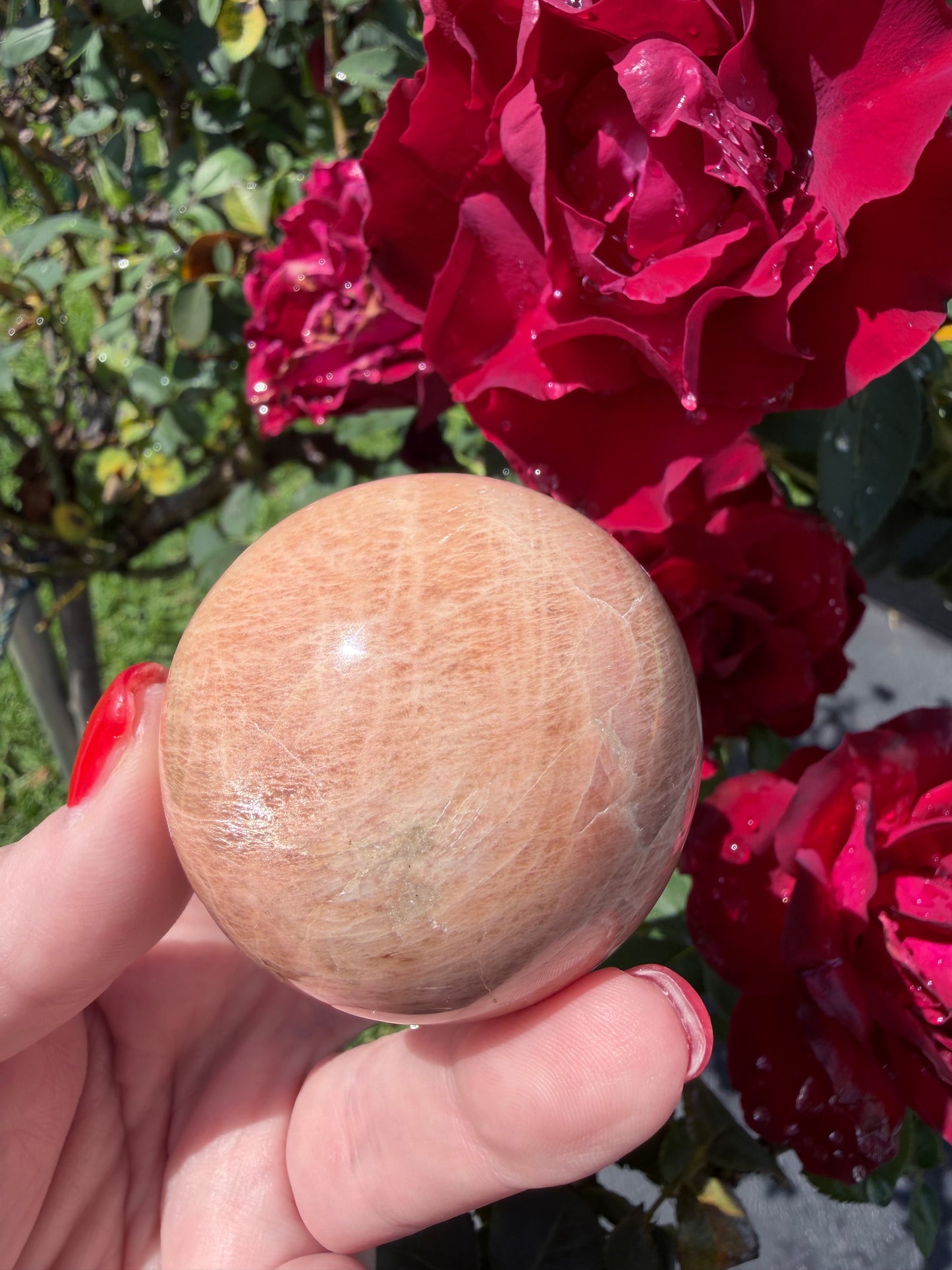 Peach Moonstone Sphere – 5.2cm | 190g