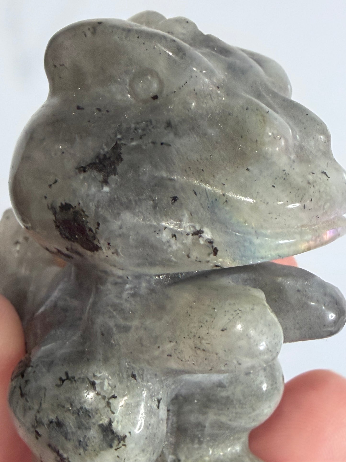 6cm Labradorite T-Rex Crystal Carving