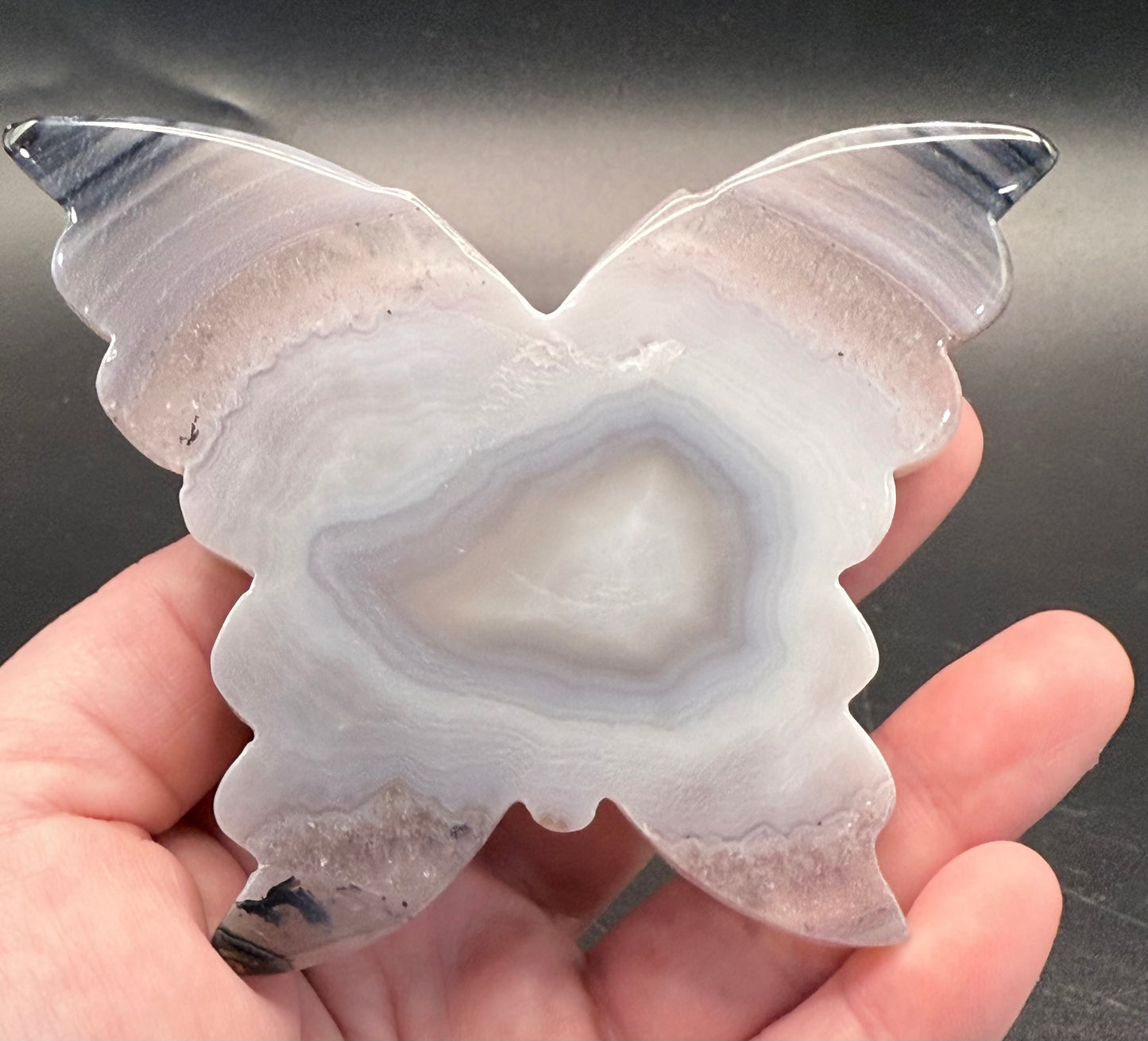 Agate Butterfly with Sparkling Druzy